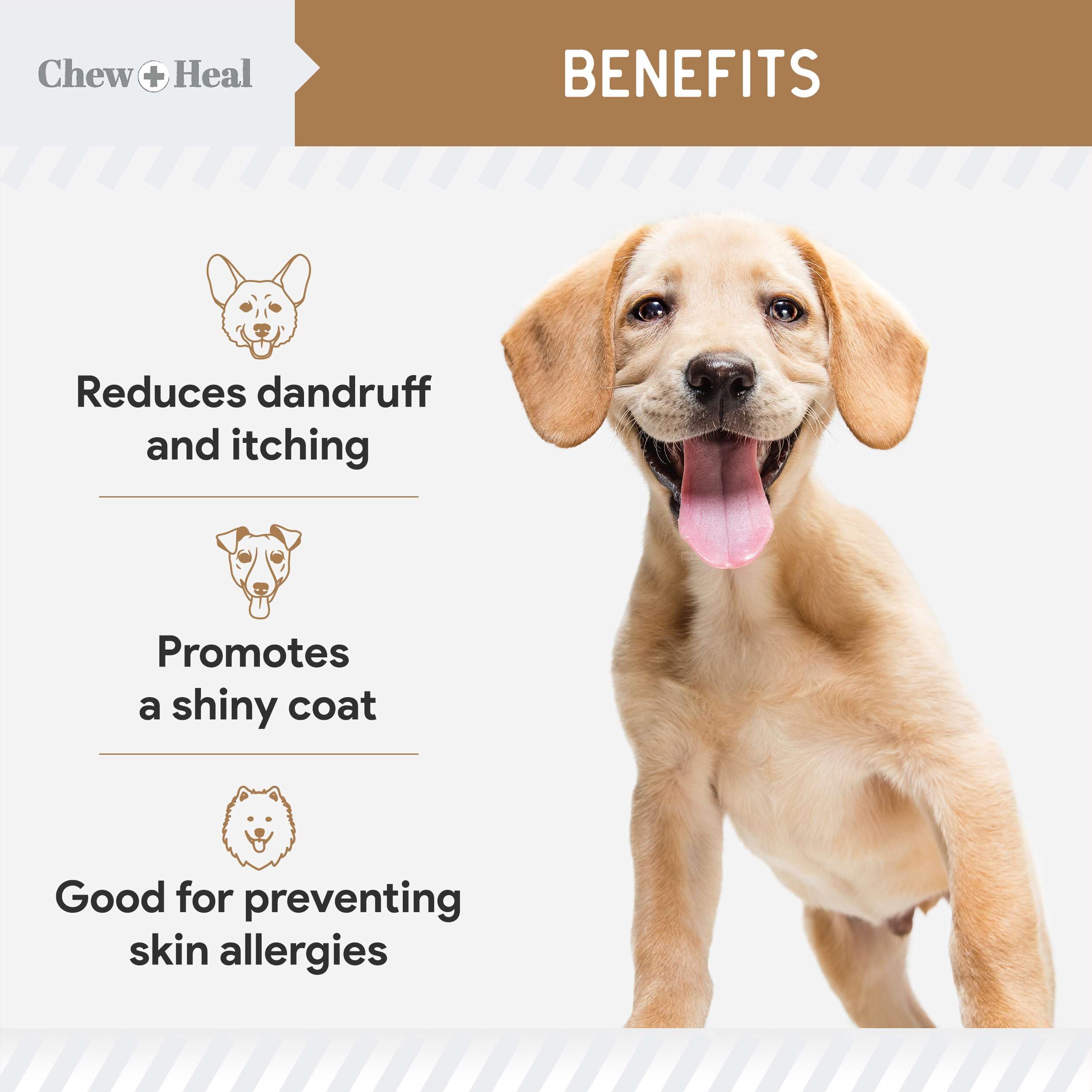 Omega for Dogs - 180 Delicious Soft Chews - Salmon Oil Treats for Skin and Coat, Itch Relief - Fish Oil Blend of Essential Fatty
