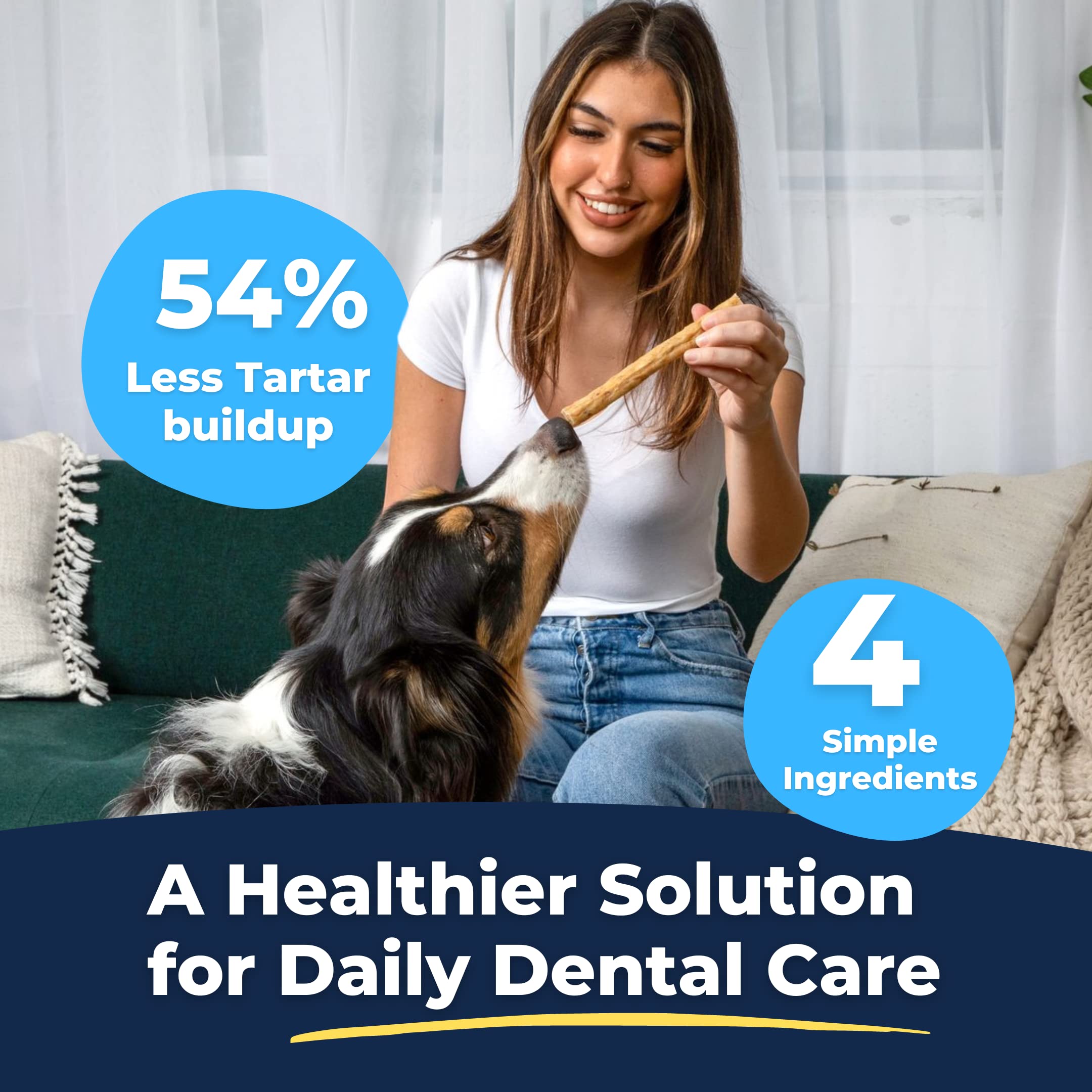 Tartar Shield Soft Rawhide Chews | Safe Dental Treats for Small Dogs | Vet VOHC Approved | Daily Bone Cleans Teeth & Gums Fresh
