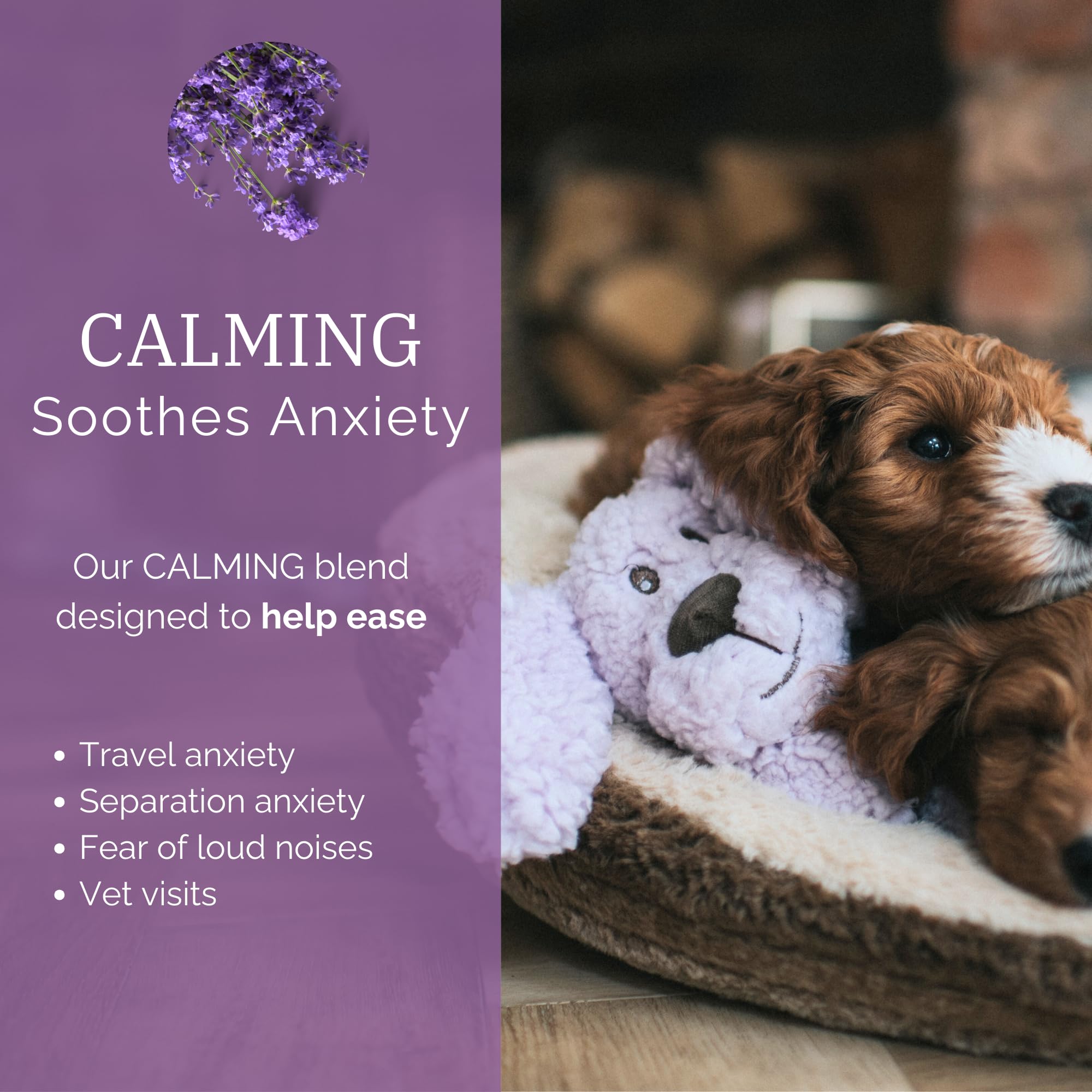 Aromadog Calm Fleece Plush Dog Toy, Calming Lavender Dog Toy For All Dogs, Lilac, 23Cm X 24Cm