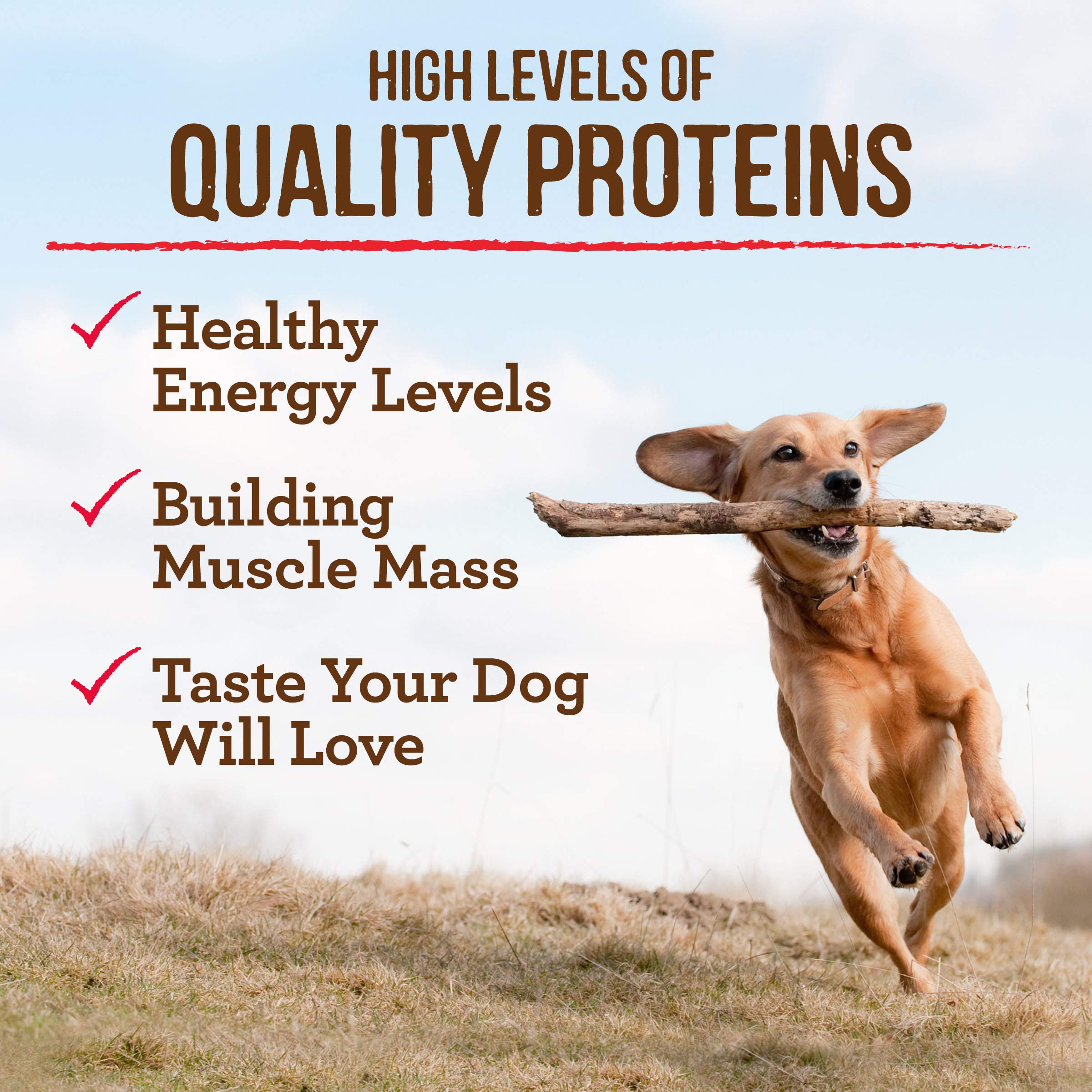 Merrick Premium Grain Free Dry Adult Dog Food, Wholesome And Natural Kibble With Real Lamb And Sweet Potato - 4.0 lb. Bag