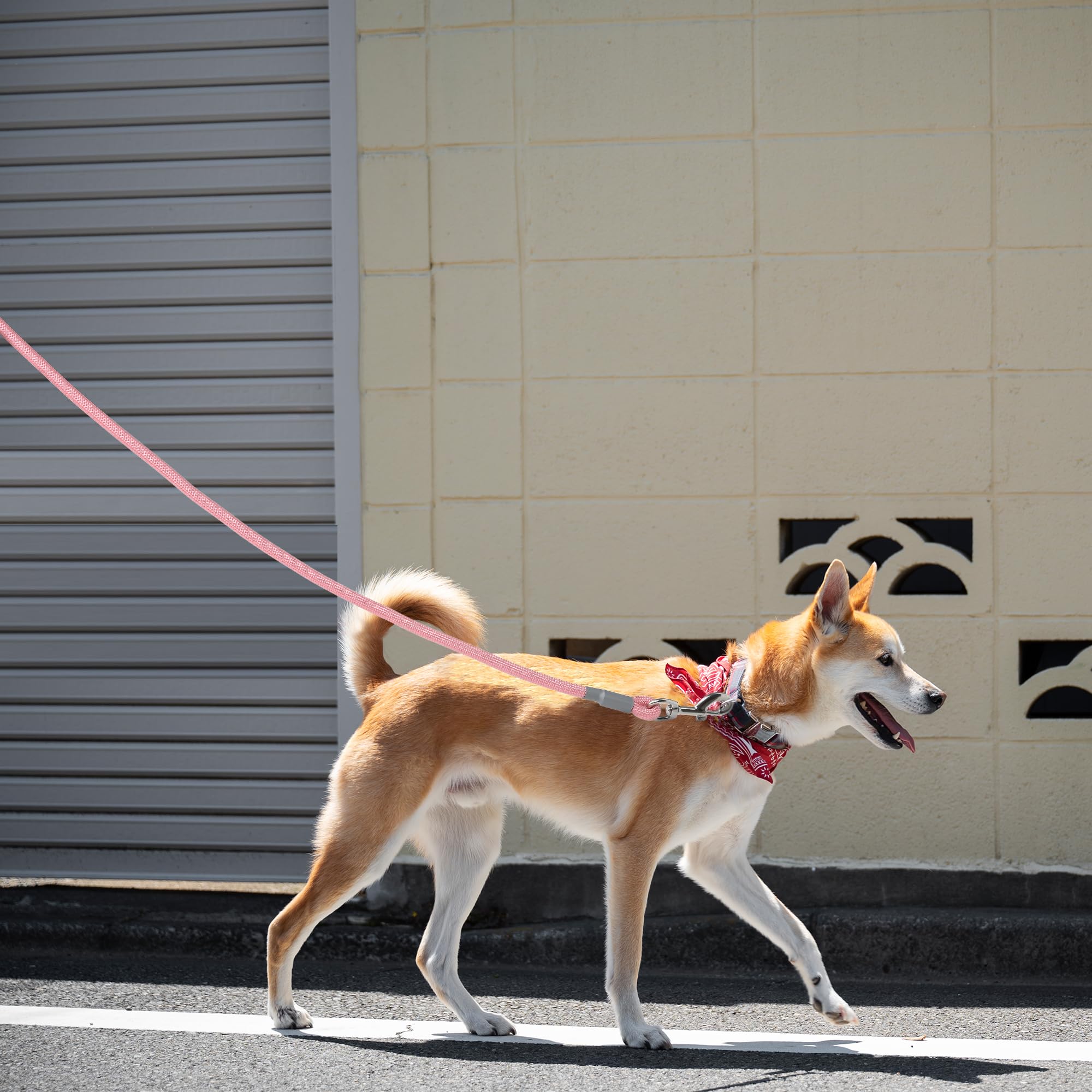 Mile High Life Dog Leash, With Comfortable Padded Handle, Pink Nylon Rope Leash With Steel Tips, Heavy Duty 5 Feet Pet Leashes (