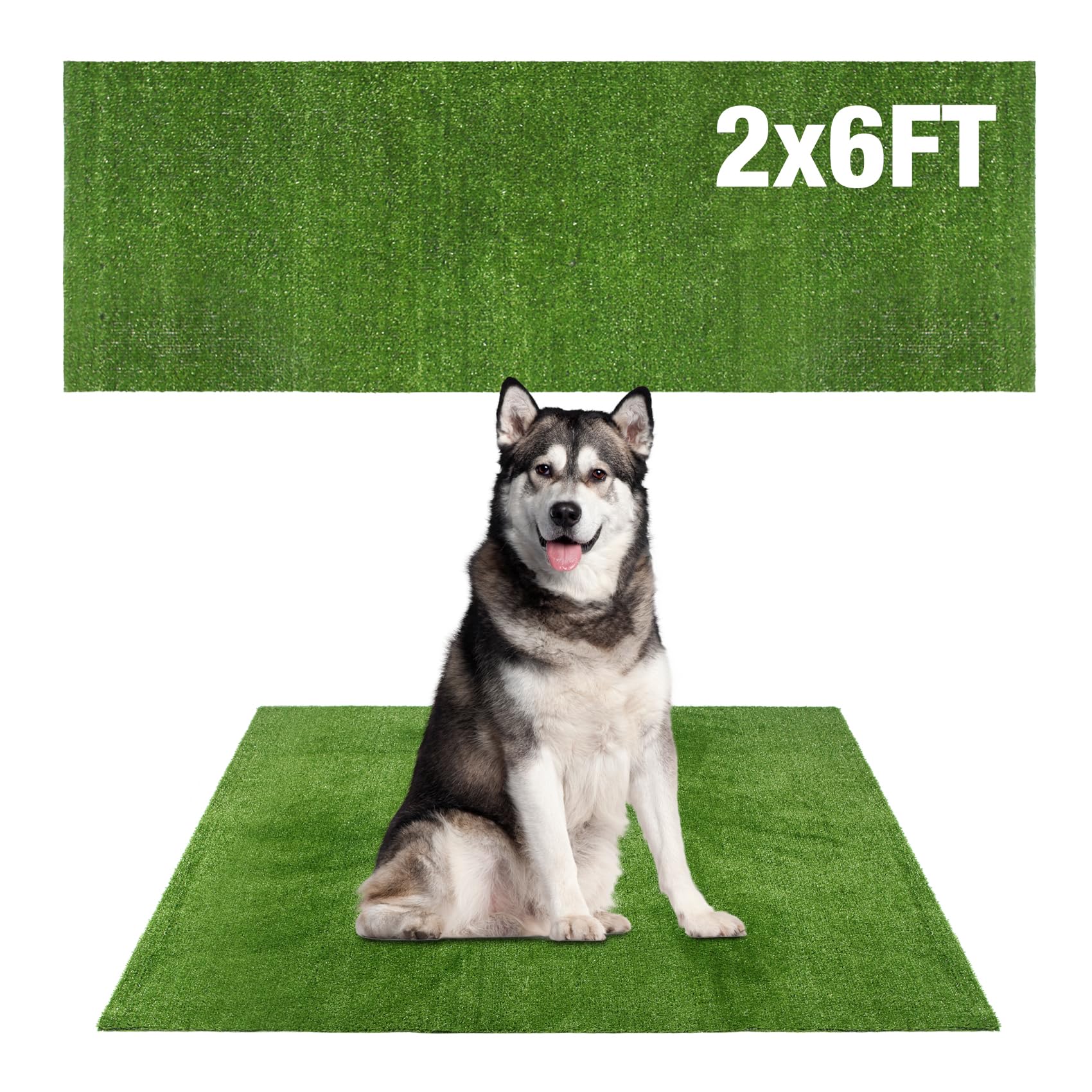 Globreen Grass Pad For Dog Large Size - 2Ftx6Ft, Dog Potty Training Turf, Indoor Outdoor Pets Pee Fake Grass For Balcony Patio Y
