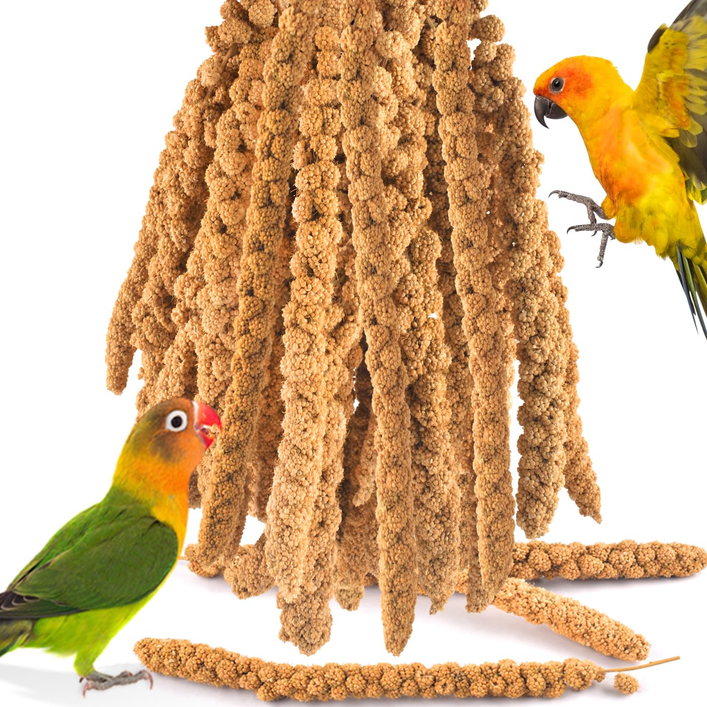KATUMO Spray Millet for Birds, 2.0LB / 910g Natural Sun-Dried Millet Spray Bird Treats Parakeet Food for Cockatiels Conures Parr