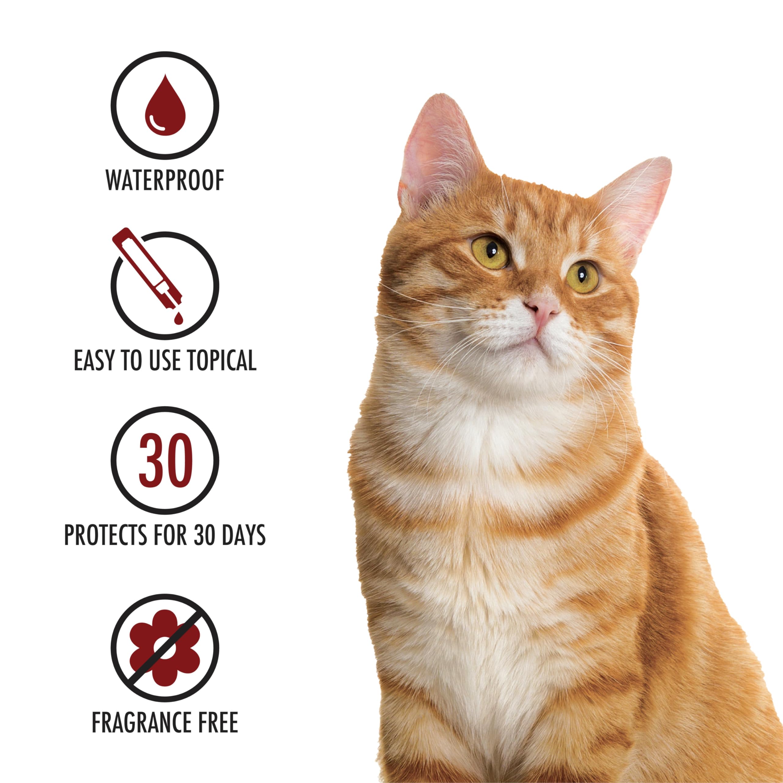 Advecta Plus Flea Prevention For Cats, Cat and Kitten Treatment & Control, Small and Large, Fast Acting Waterproof Topical Drops