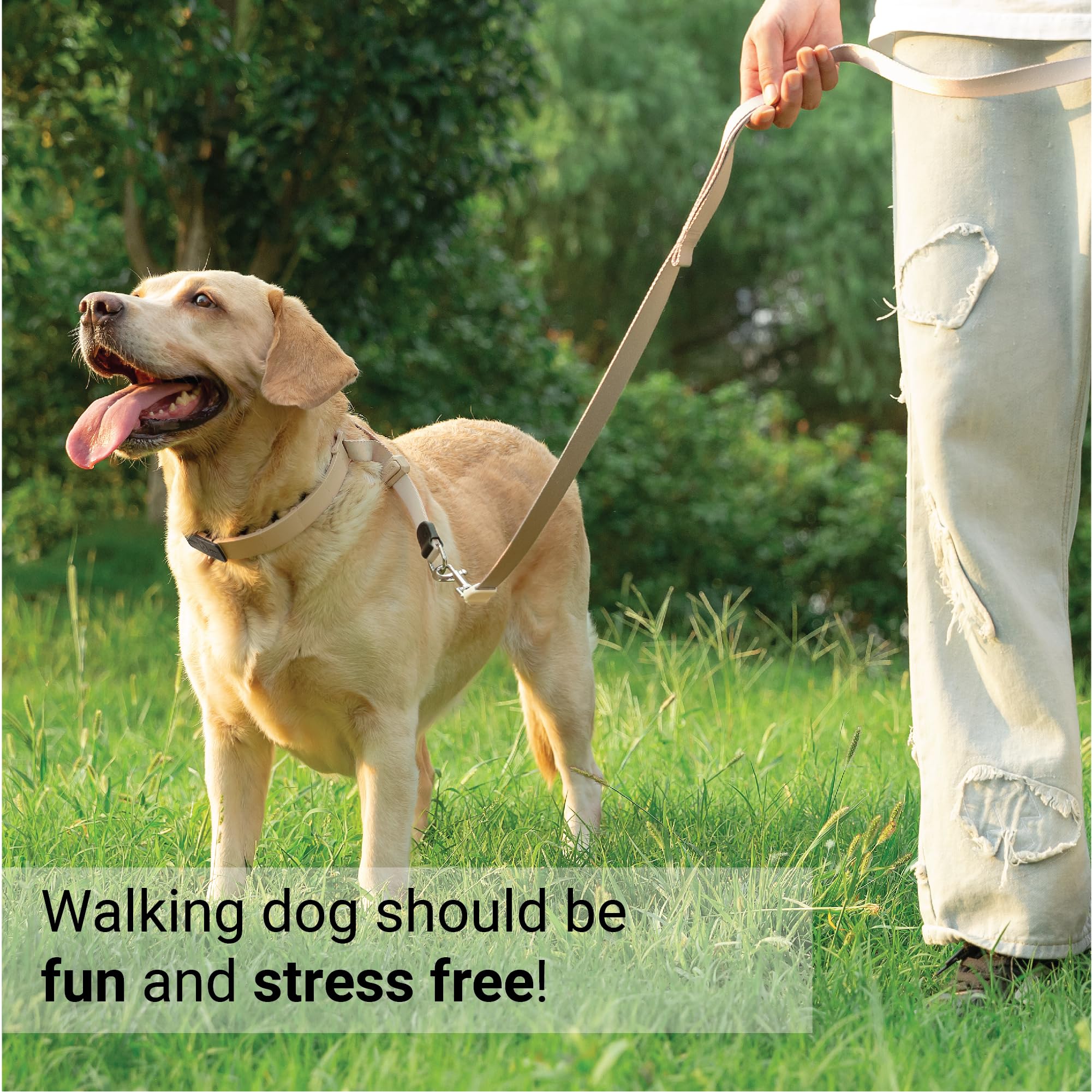 Svd.Pet Dog Prong Collar For No-Pull Training, Quick-Release Buckle Adjustable Pinch Collar For Medium Dogs (Tan, Medium Size)