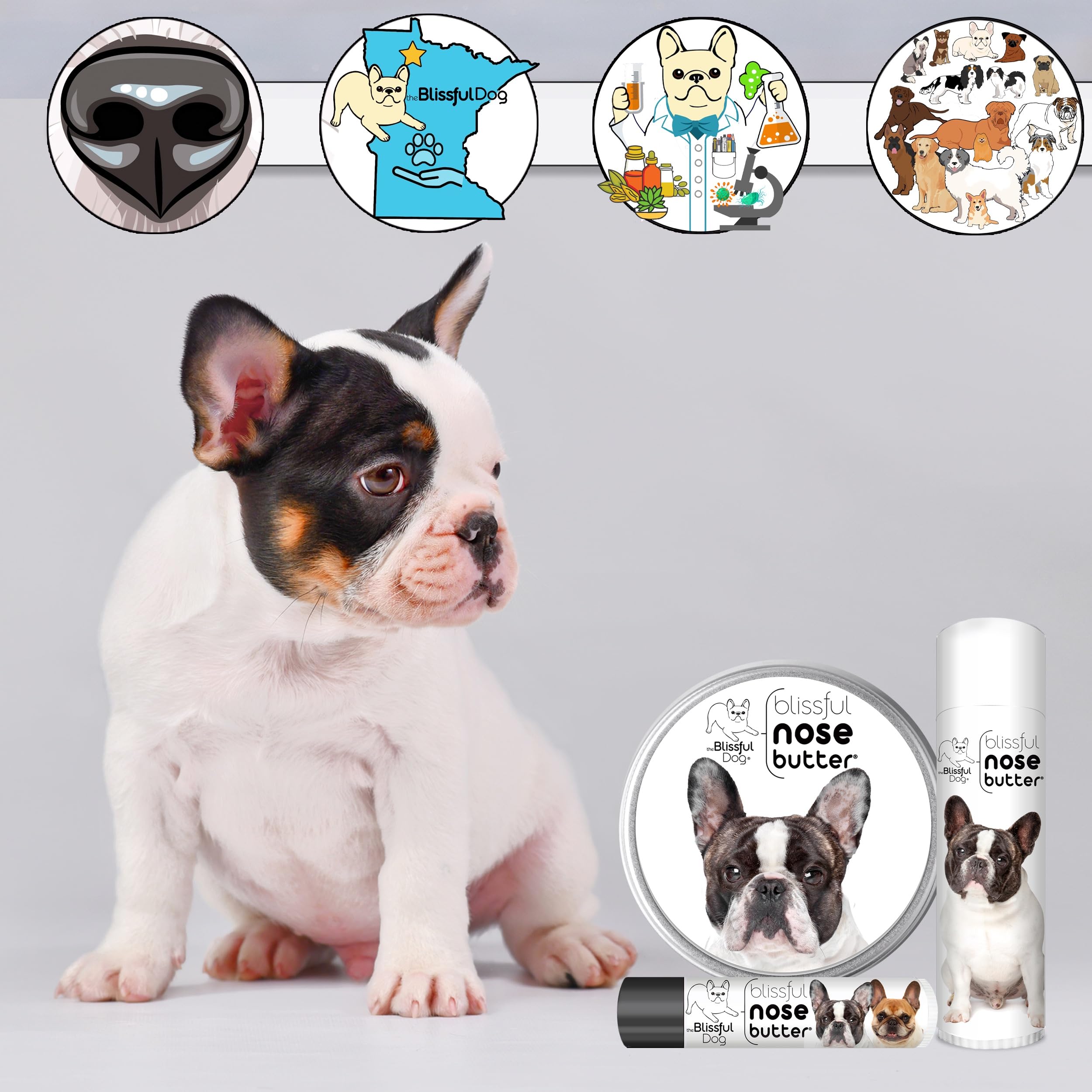 The Blissful Dog Pied French Bulldog Nose Butter, Versatile Dog Nose Balm for Dry Nose, Handcrafted Nose Moisturizer, Easy-to-Ap