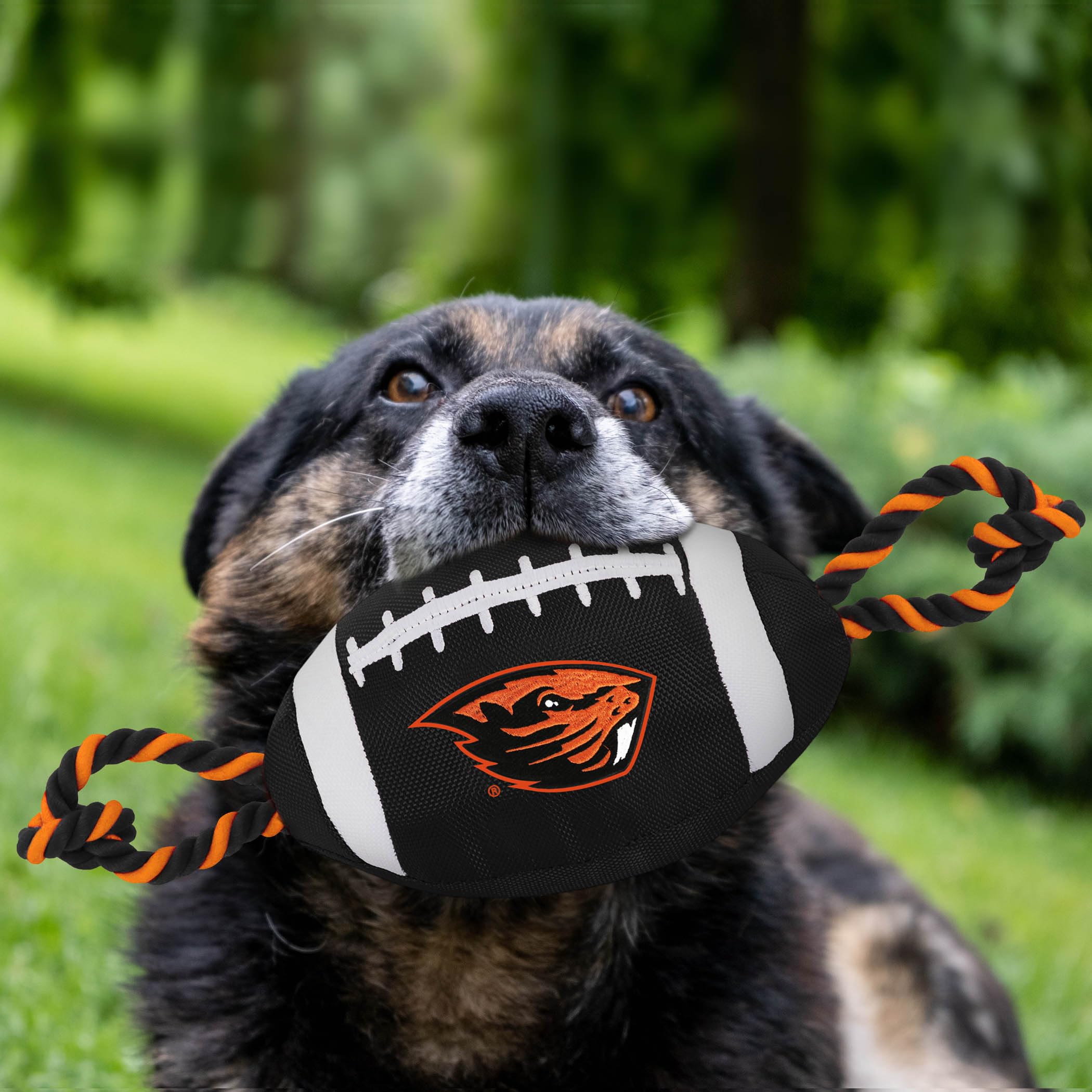 Pets First ORS-3121 Oregon State Nylon Football