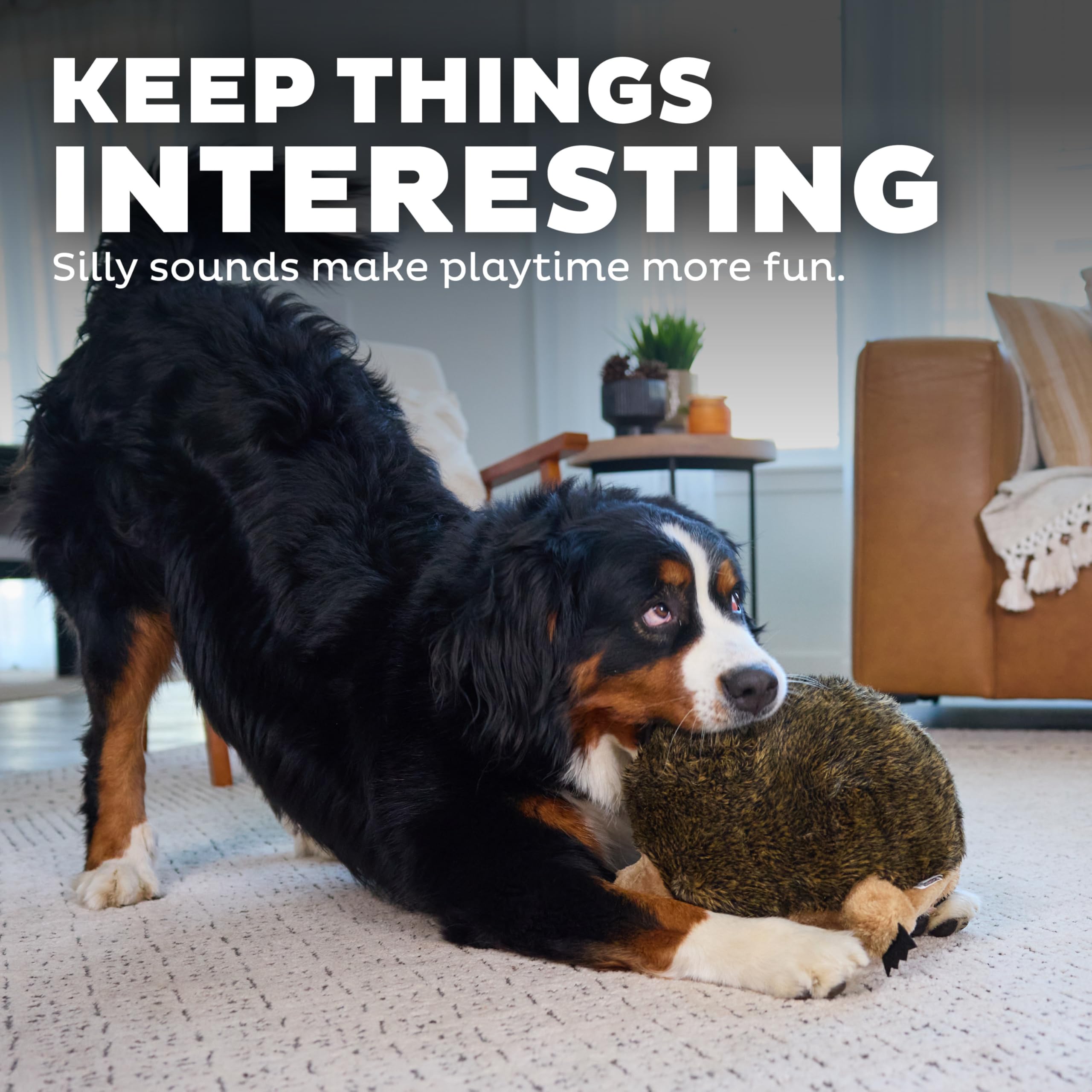 Outward Hound Hedgehogz Plush Dog Toy - XL Dog Plush, Durable Polyester, Model 32028