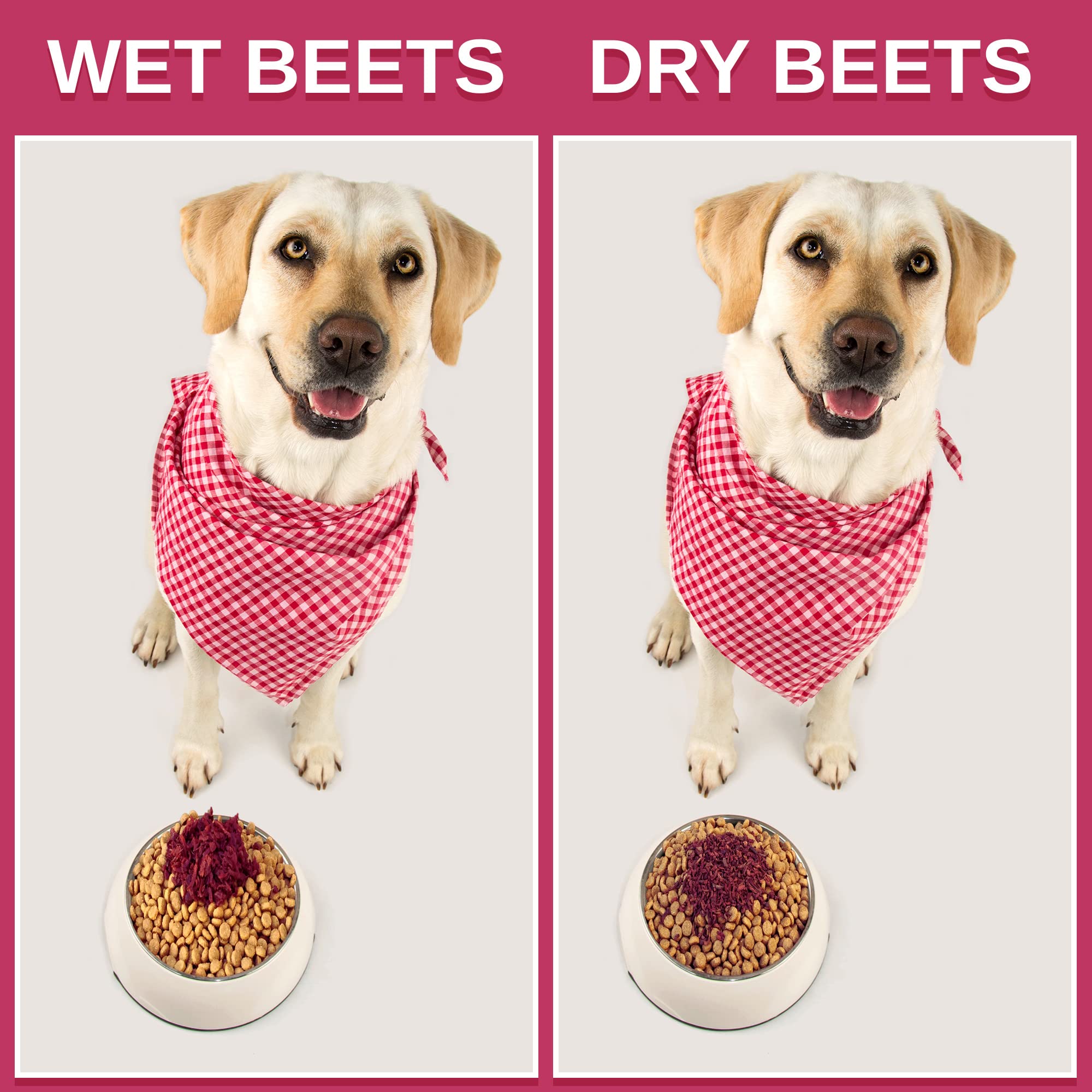 Olewo Original Red Beets for Dogs - Natural Anti Itch for Dogs, Dog Food Topper, Immune, Cleansing, Skin & Coat Support, Dehydra