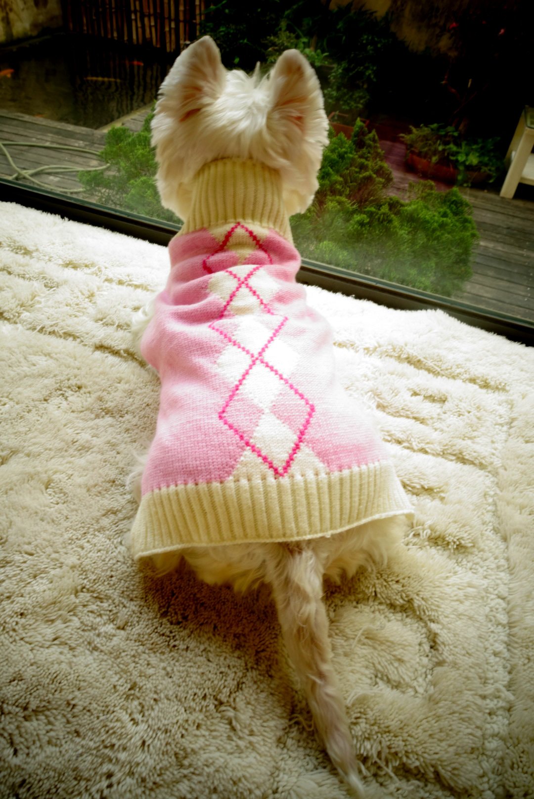 Pink Argyle Puppy Sweater For Girl Pet Sweater Knitwear For Dogs & Cats Warm Knitted Turtleneck X-Small (Xs) Size