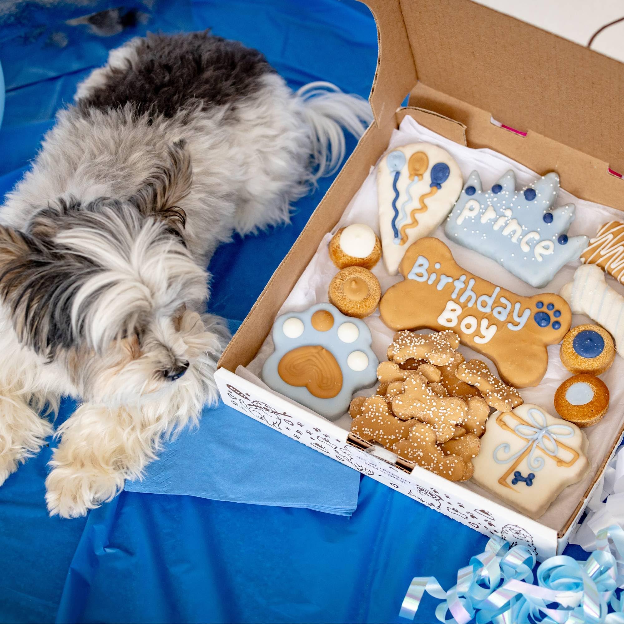 Wufers Dog Birthday Cookie Box - Dog Cookies, Human Grade Ingredients, Cute Hand Decorated and Gentle for Tummies of All Breed S