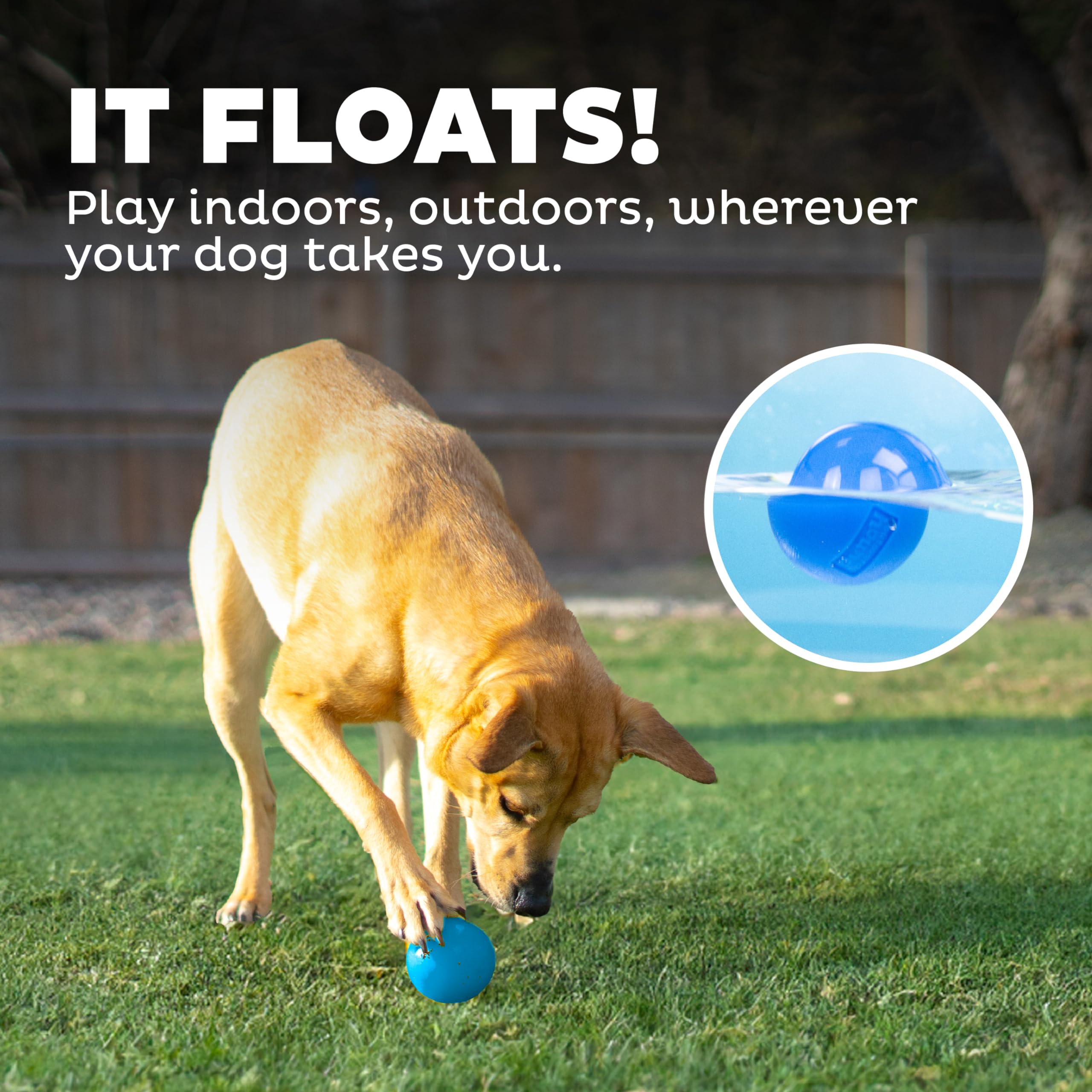 Outward Hound By Planet Dog Squeak Ball Bouncy Fetch Dog Toy, Blue