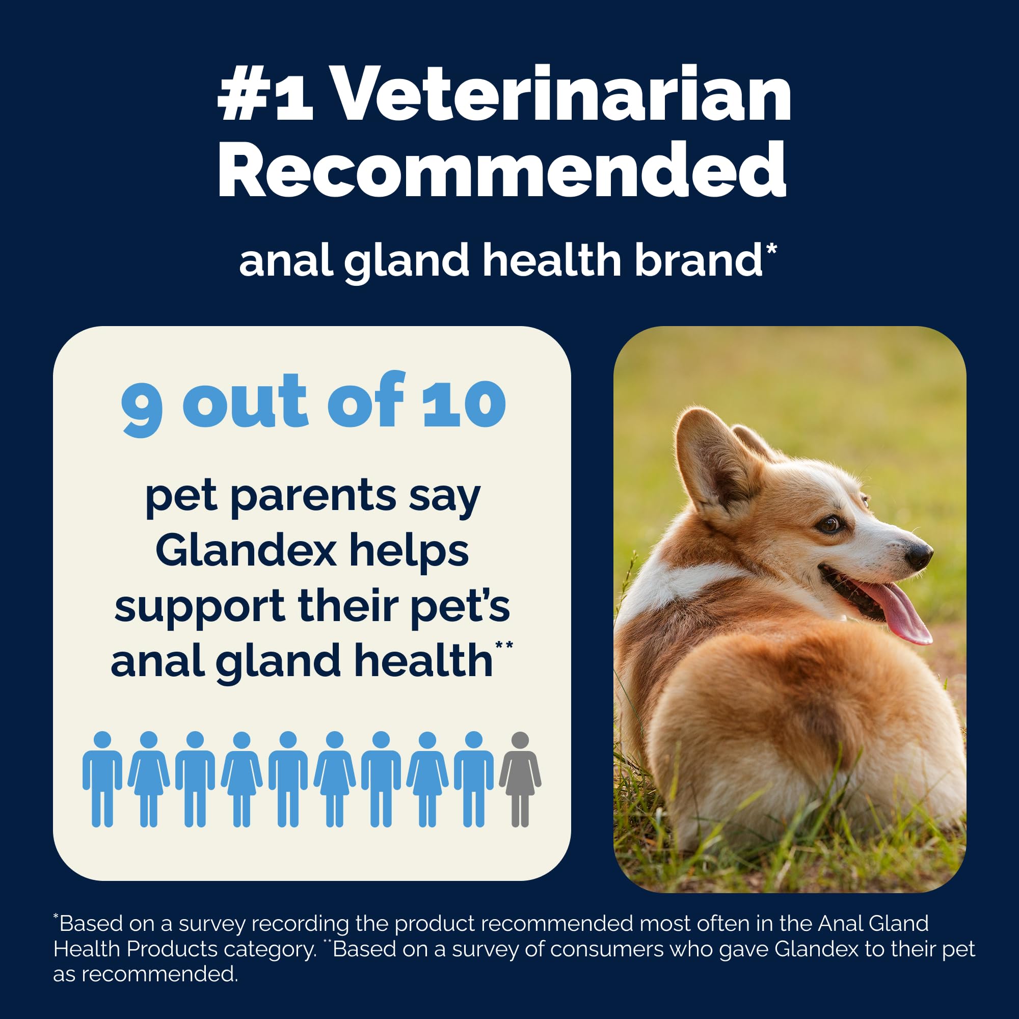Vetnique Glandex Daily Probiotics for Dogs with Prebiotics to Support Gut Health with Fiber and Digestive Enzymes, Probiotic Che