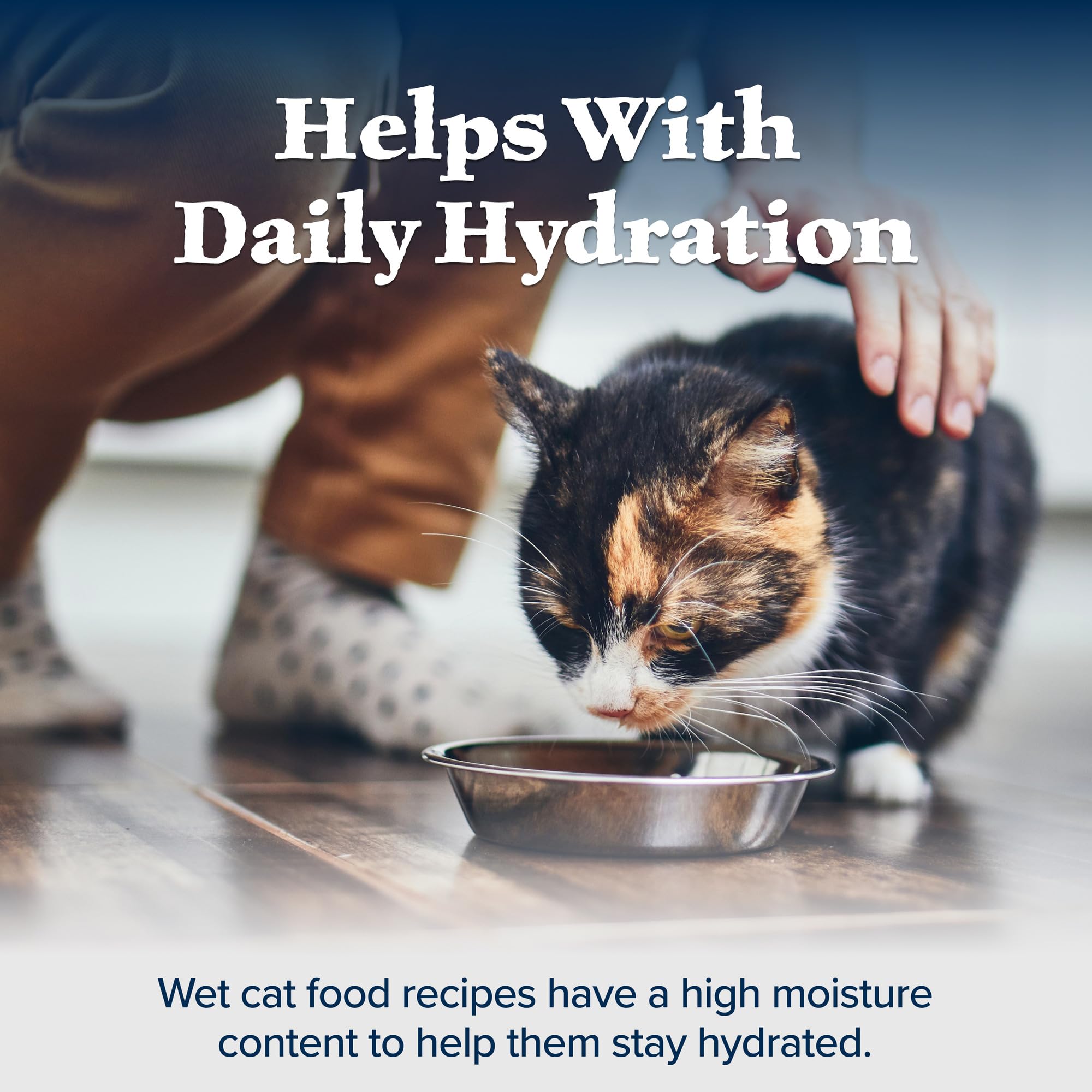 Blue Buffalo Wilderness Wild Delights Meaty Morsels Wet Cat Food, High-Protein & Grain-Free, Made with Natural Ingredients, Chic