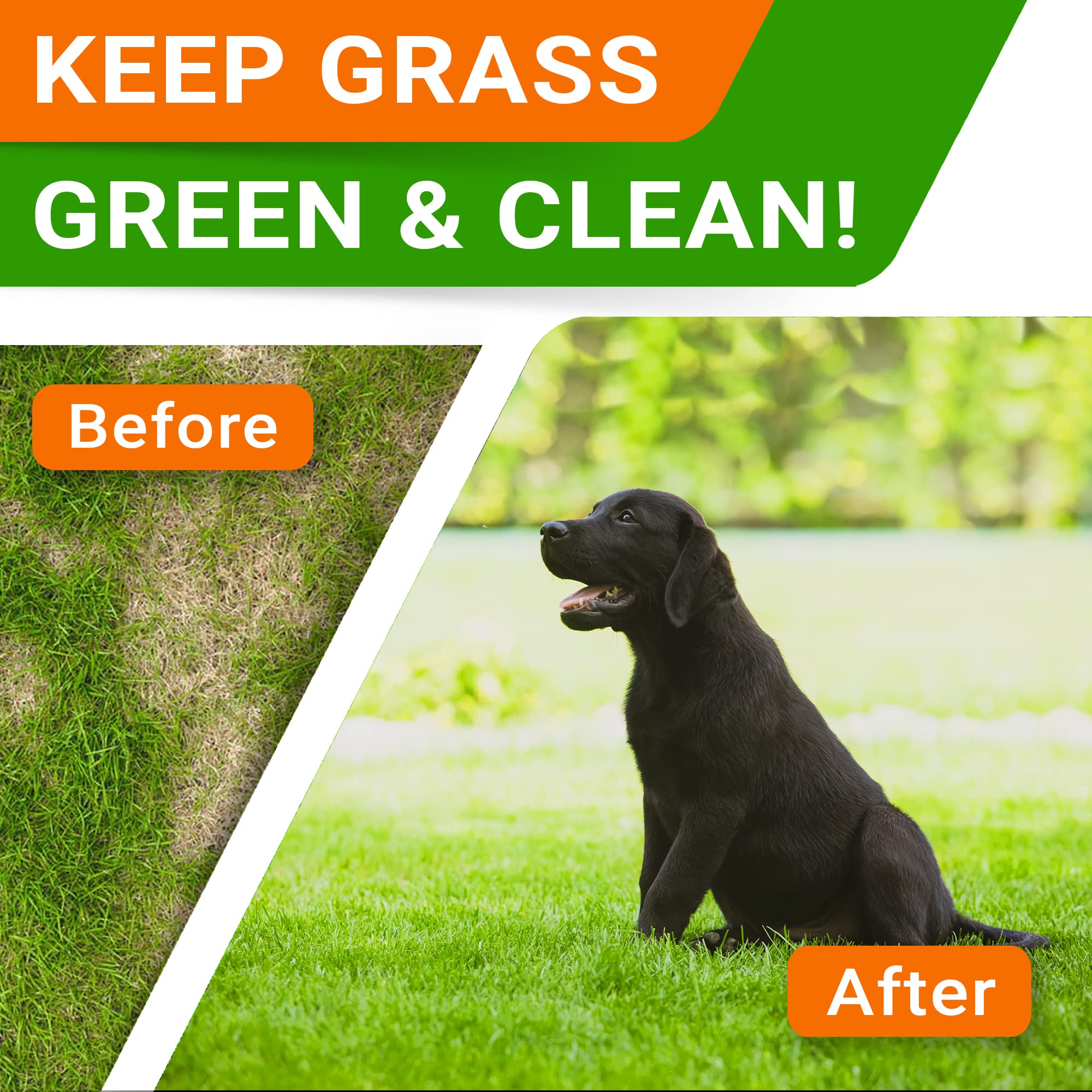 Grass Burn Spot Chews for Dogs - Dog Urine Neutralizer for Lawn - Dog Pee Lawn Spot Saver - Natural Treatment Caused by Dog Urin