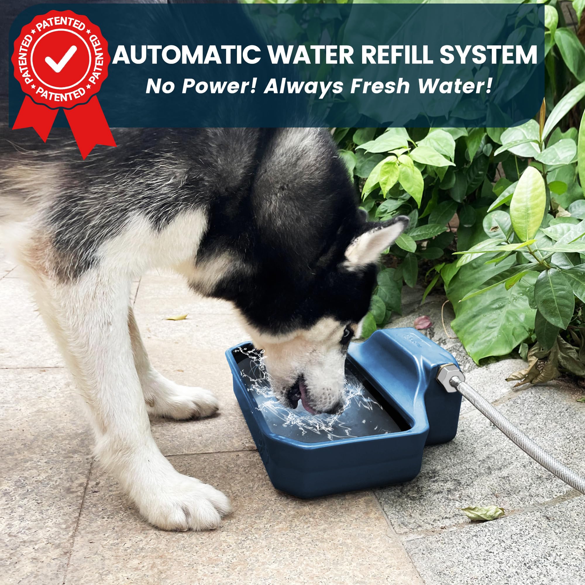 Petimi Automatic Water Dispenser For Dogs/Cats, 1 Gallon Auto-Fill Dog Water Bowl Dispenser For Indoor/Outdoor, Large Water Feed