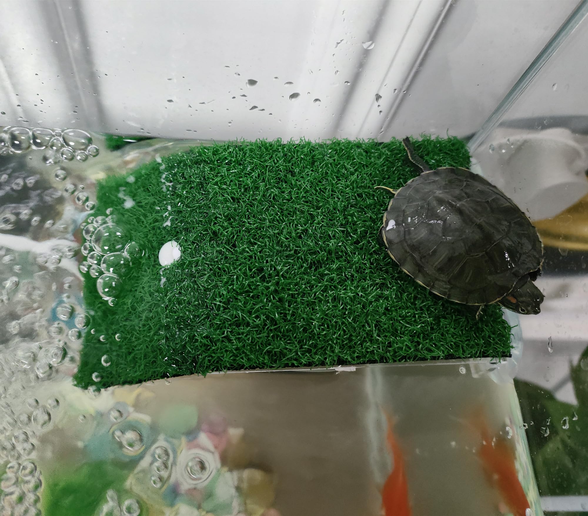 Lawn Turtle Basking Platform, Turtle Resting Basking Platform, Tortoise Ramp Climbing Reptile Ladder Resting Terrace Aquarium Floating Décor For Frog Terrapin Amphibian Habitat Hideouts (Medium)