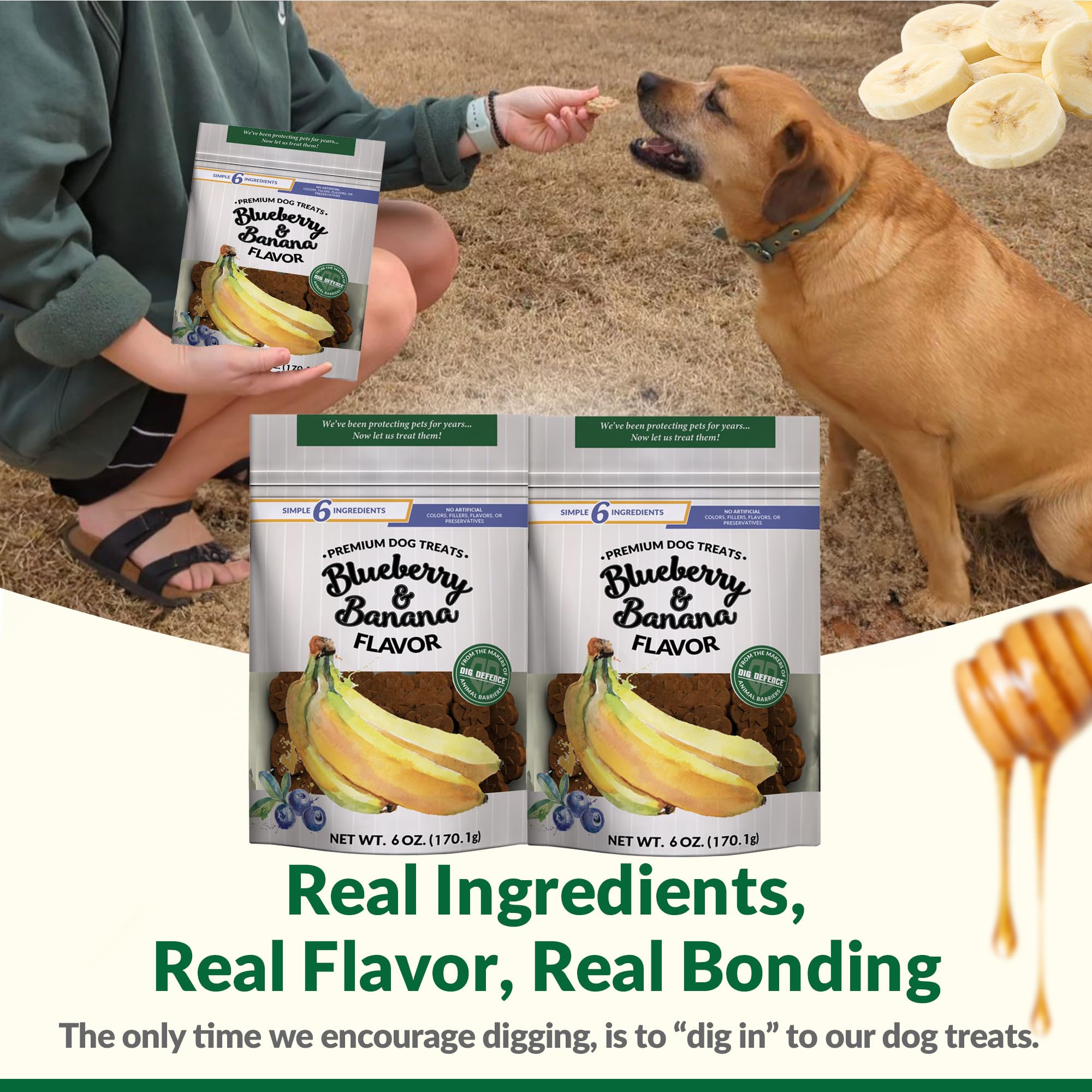 Dig Defence Premium Dog Treats - Blueberry and Banana, Natural Ingredients, Baked Gourmet Snacks for Small & Big Dogs, Healthy T