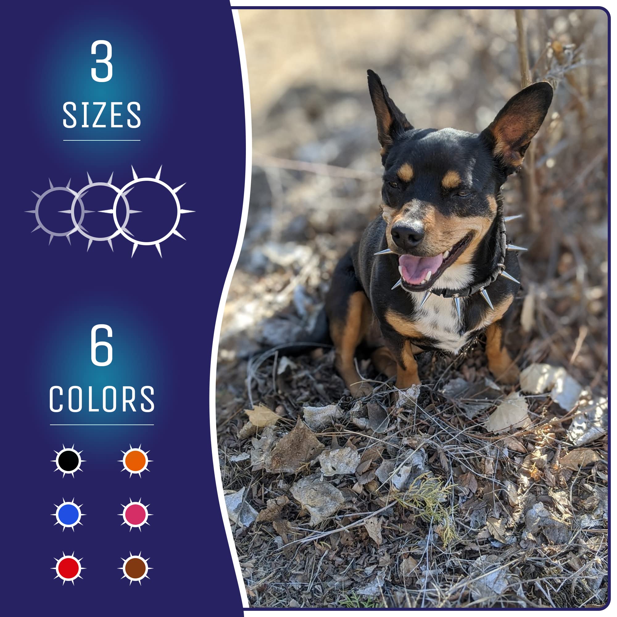 Coyotecollar Spiked Dog Collar - Medium Black Spike Collar, Adjustable, Studded, Protection Against Coyotes And Aggressive Dogs