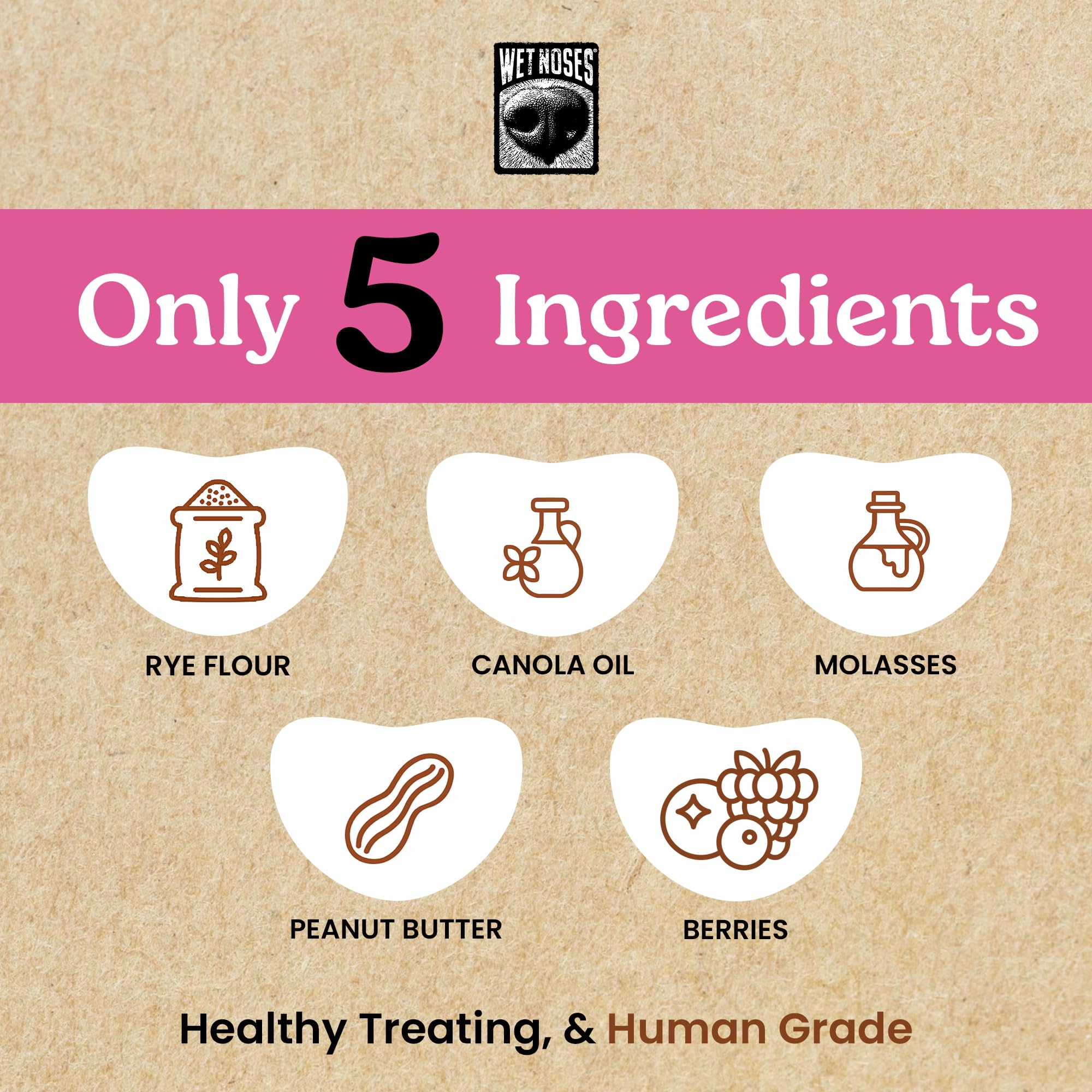Wet Noses Moments Non-GMO Peanut Butter & Berry Crunchy Dog Treats - 14oz | No Corn, Wheat, Soy or Peas, Made with 5 Simple Ingr