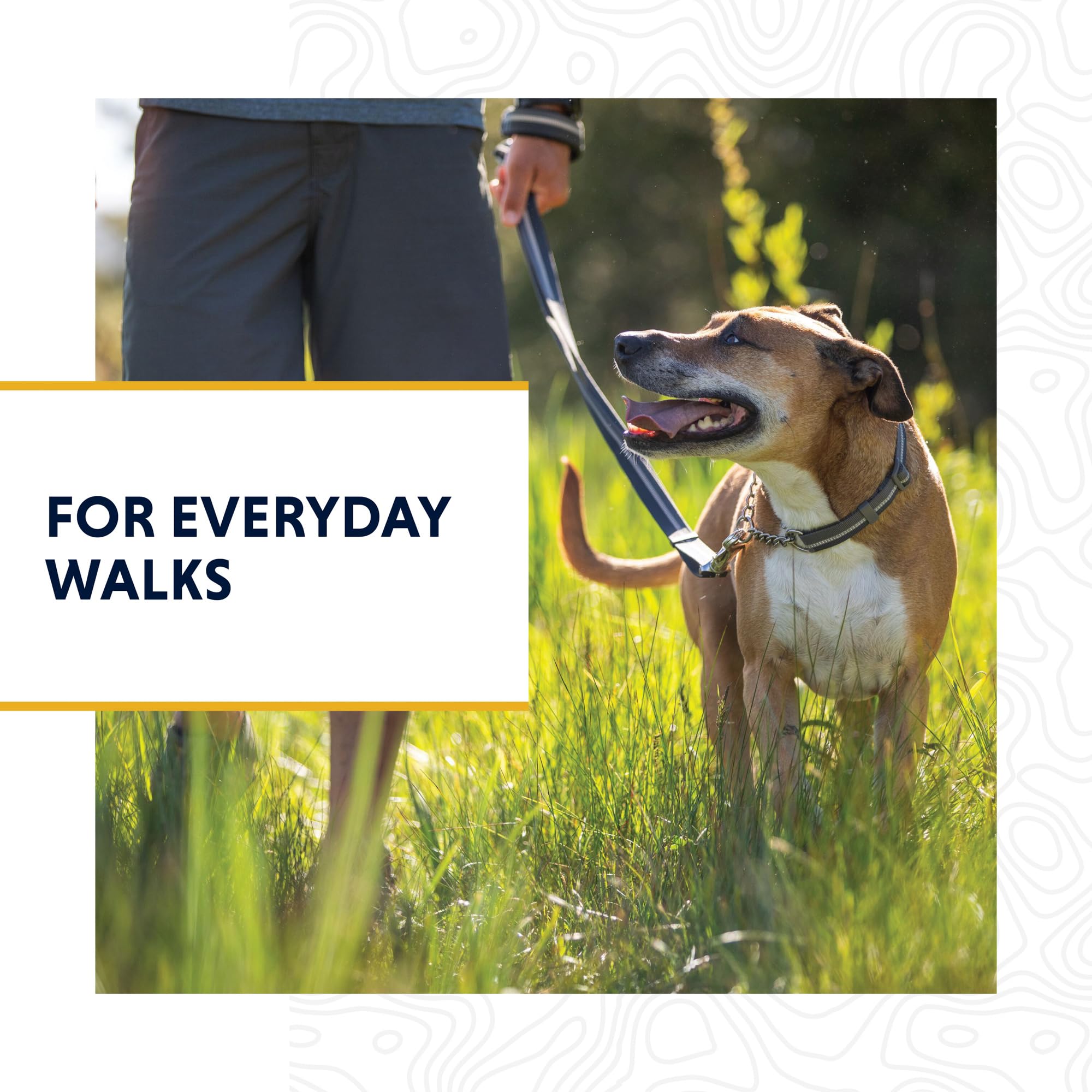 Ruffwear, Chain Reaction Dog Collar, Martingale Style For On-Leash Walking, Blue Pool, 20'-26'