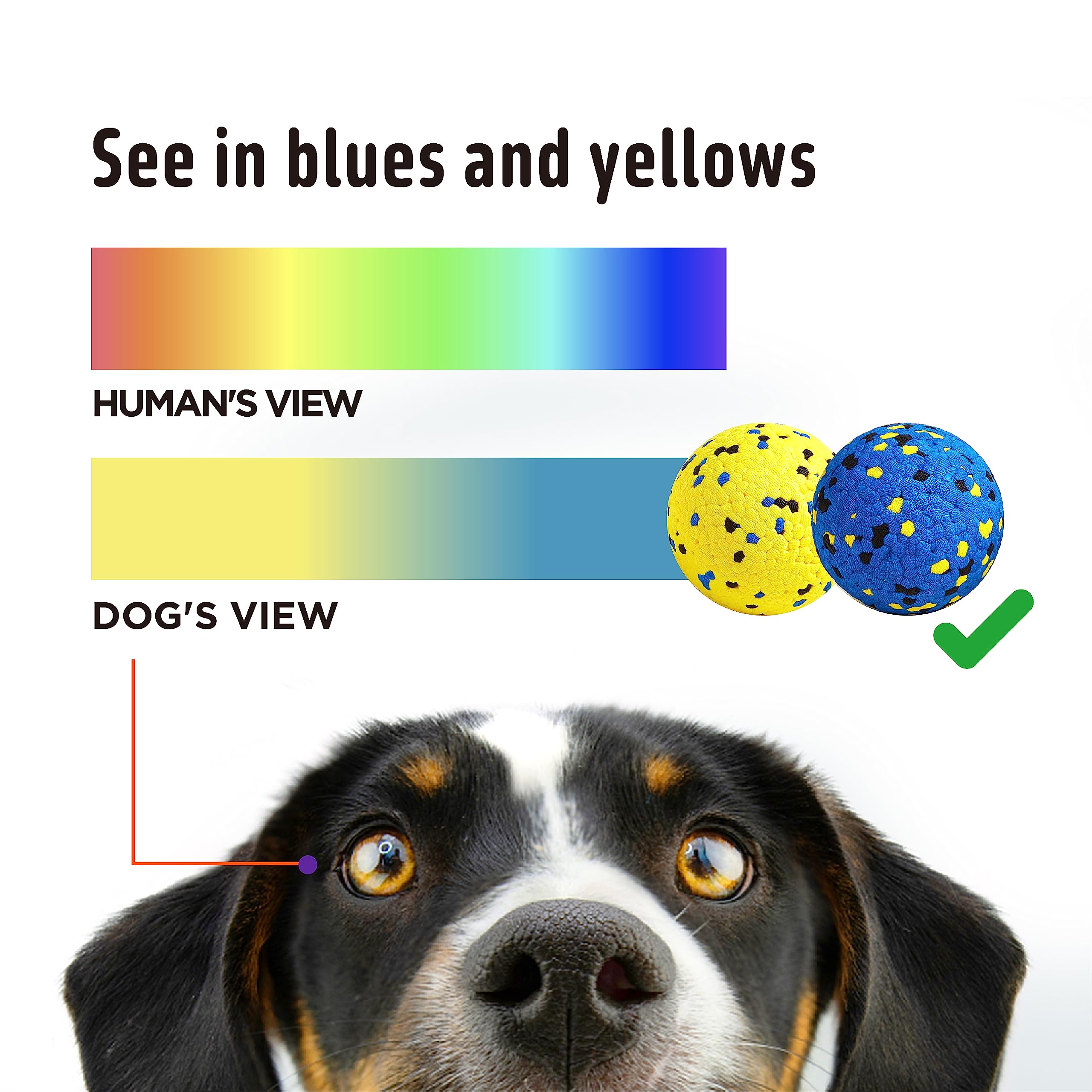 Kimee Tennis Ball Dog Toy for Aggressive Chewers - Durable ETPU Fetch Ball for Large, Medium, Small Dogs - Blue, Yellow