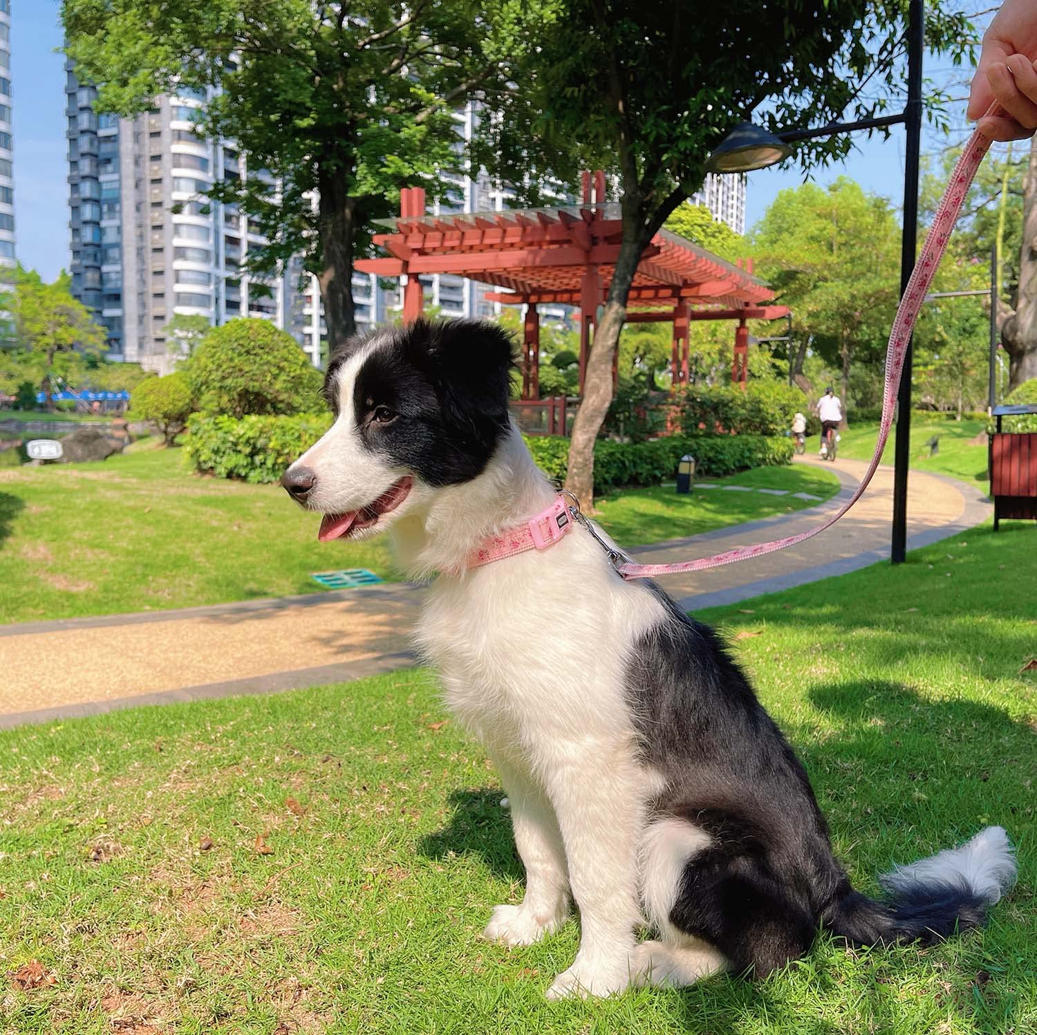 Yudote Floral Dog Collars Adjustable Nylon Collar With Quick Release Buckle For Female Dogs, Pink,Medium