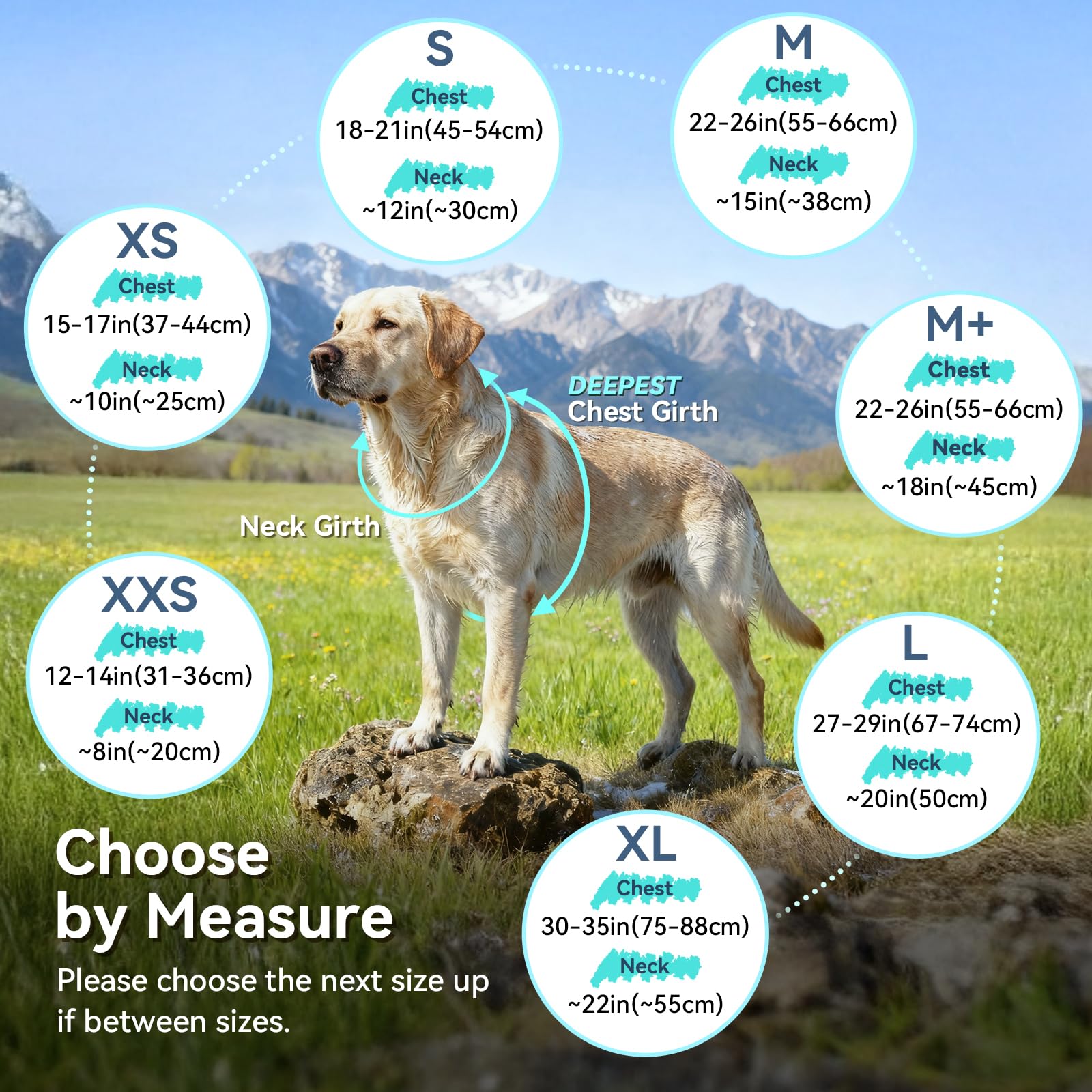 VIVAGLORY Dog Fleece Vest, Dog Cold Weather Sweater for Medium Dogs, Adjustable Winter Warm Clothes with Two-Way Zipper Opening,