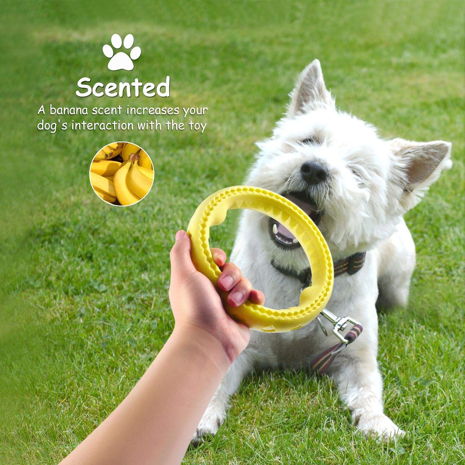 Fluffy Paws Dog Chewing Ring - Soft Rubber Ring Dental Chewing Teething Biting Chasing Training Toy For Small And Medium Dog Puppy - 7', Yellow