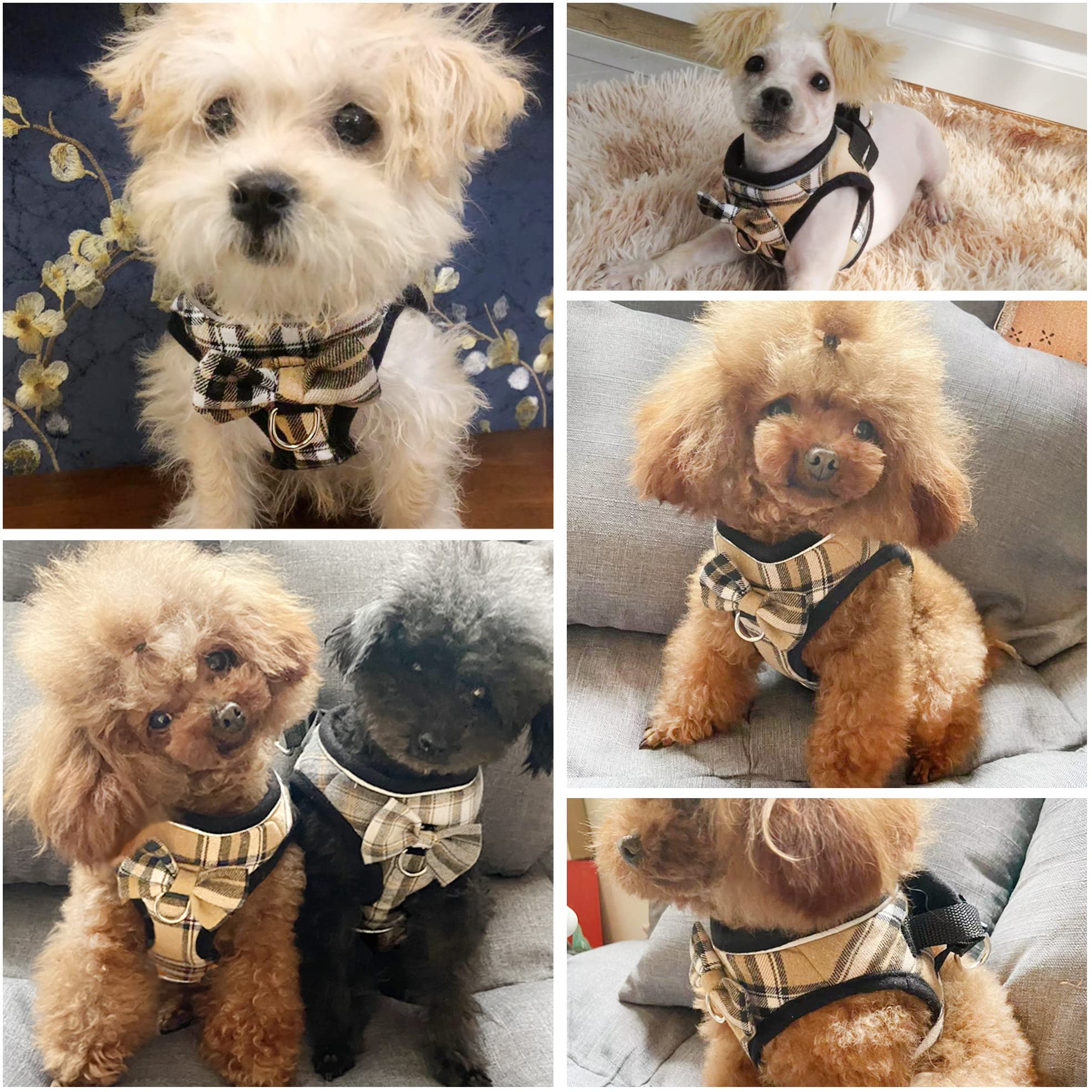 Mesh Soft Dog Harness, Adjustable No Pull Reflective Comfort Pet Vest For Dogs (Light Khaki, Xx-Small)