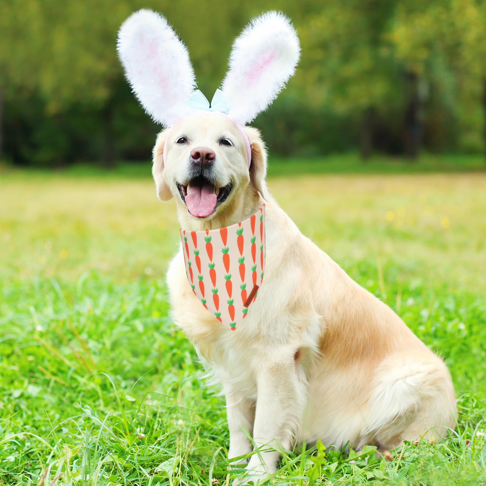 Adoggygo Easter Dog Bandanas 2 Pack, Triangle Reversible Bunny Carrot Dog Scarf, Premium Durable Fabric, Easter Bandana For Larg