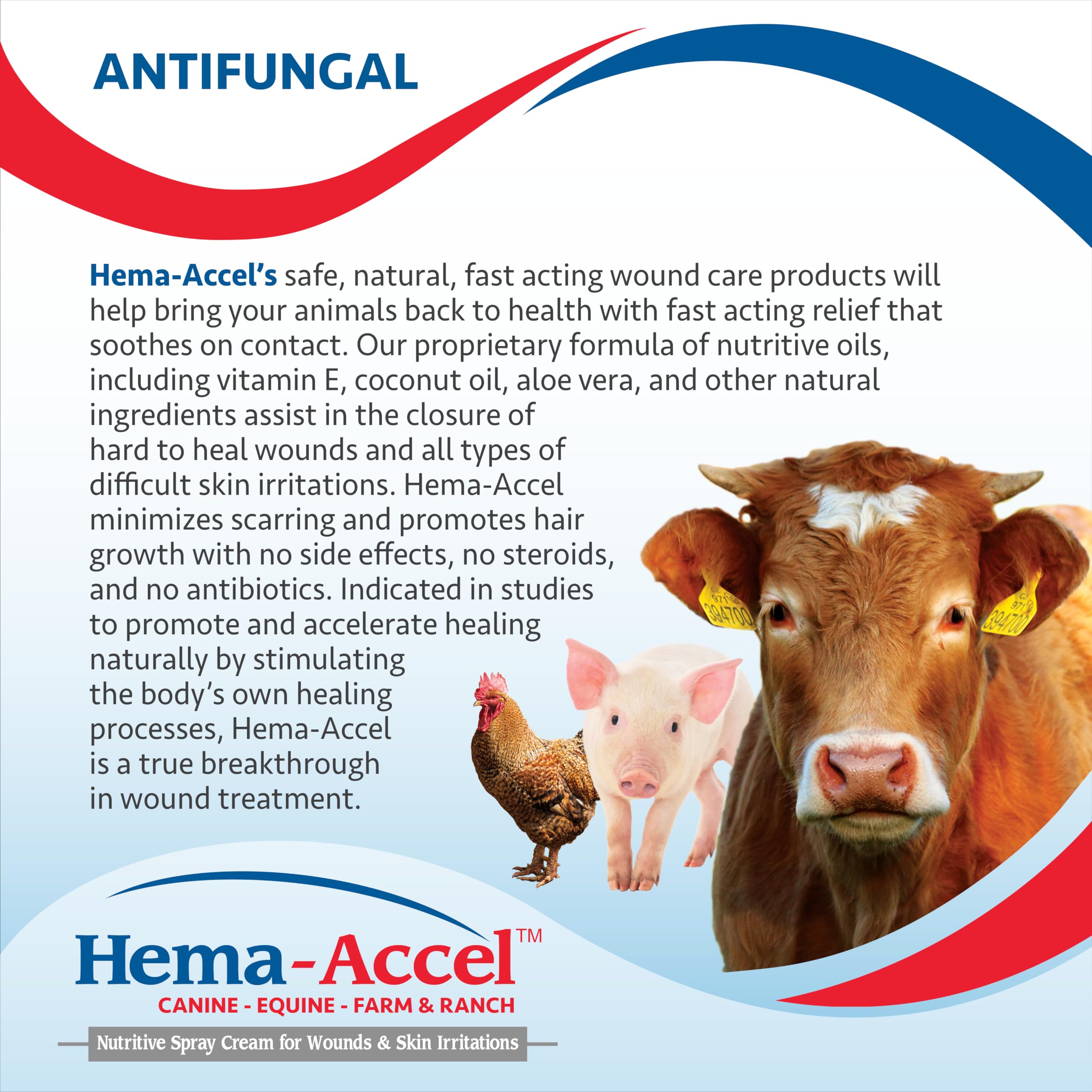 Hema-Accel Equine Wound Care Spray for Horses - Natural Skin Spray with Aloe, Coconut Oil & Vitamin E - Topical Animal Treatment