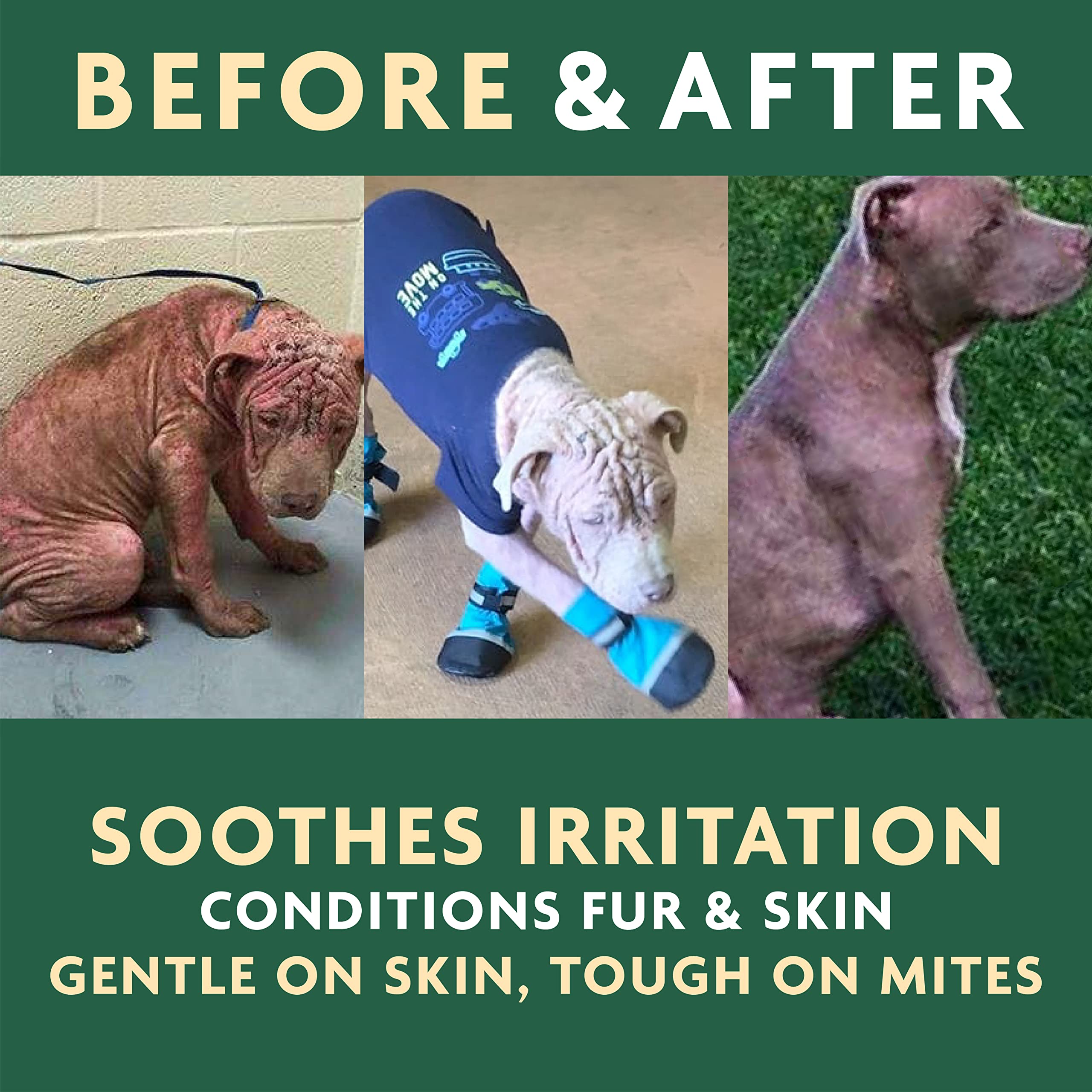 EcoMange Mange Relief for Dogs & Cats - 8 Oz. Cat & Dog Itch Relief, Sarcoptic & Demodectic Mite Spray - Herbal Extract & Essent