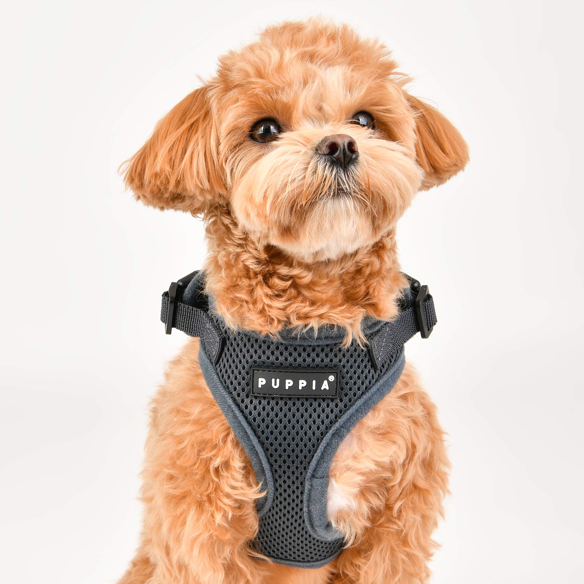 Authentic Puppia Ritefit Harness With Adjustable Neck, Red, Medium