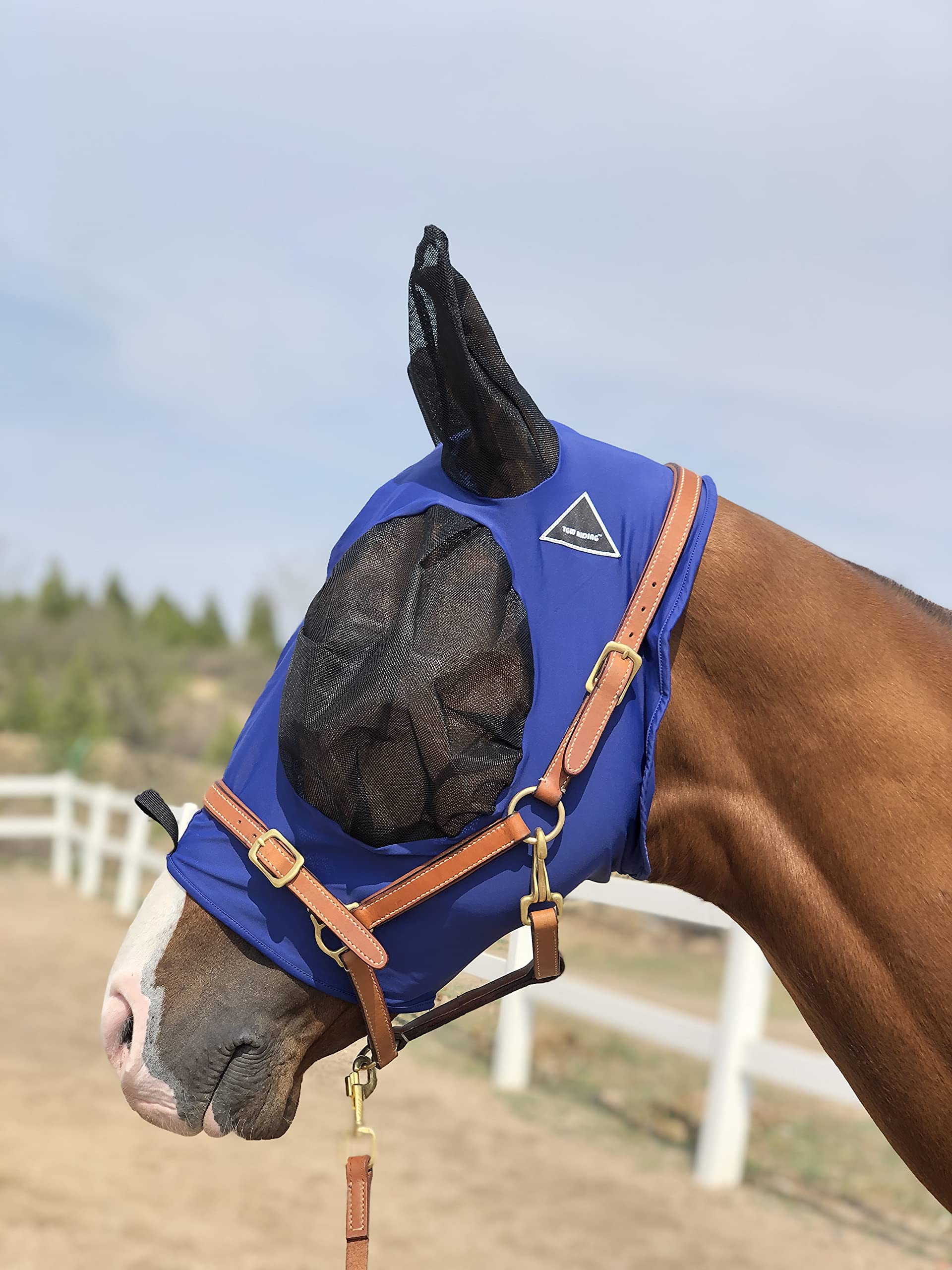 Horse Fly Mask Super Comfort Horse Fly Mask Elasticity Fly Mask with Ears We Only Make Products That Horses Like (DK Blue, M)
