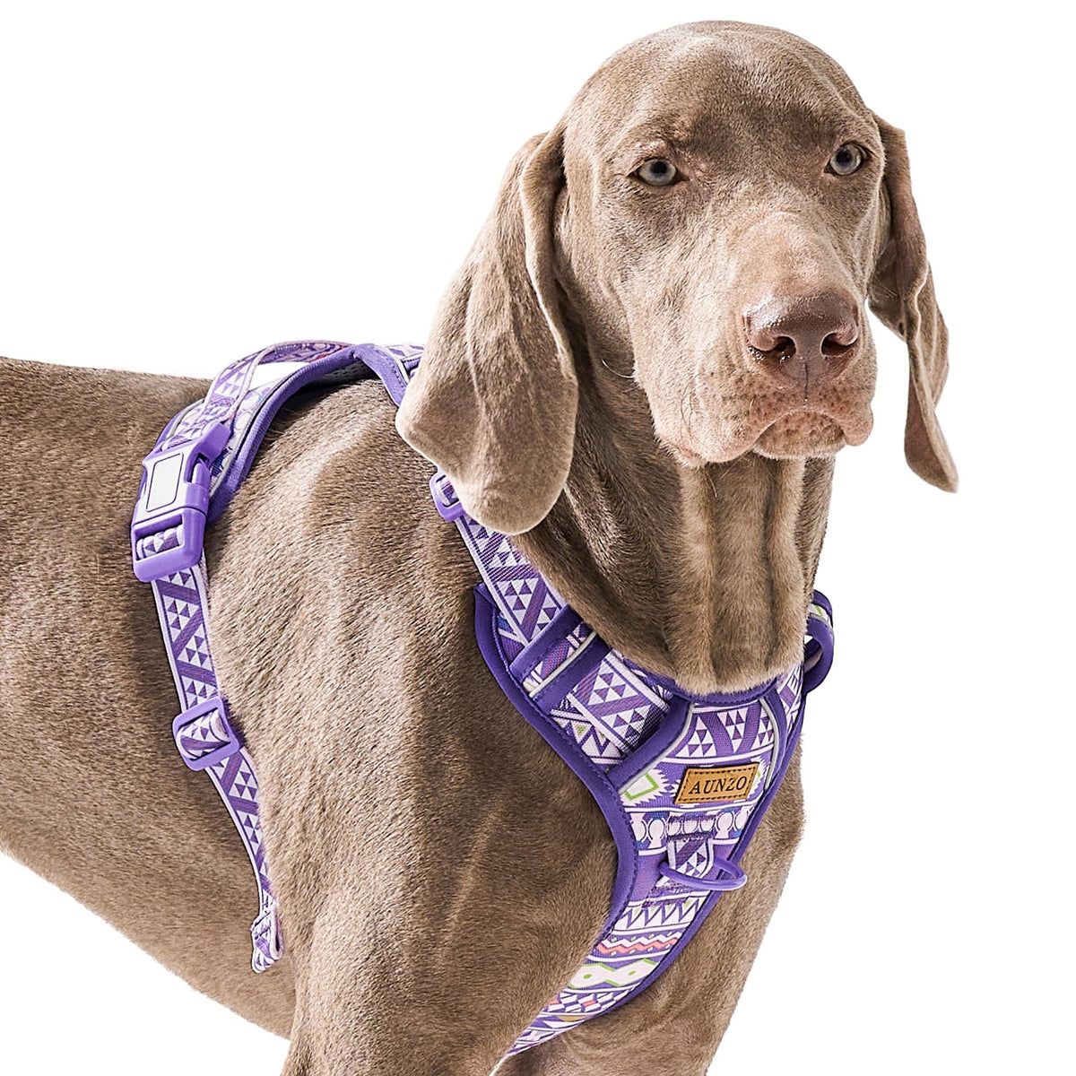 Purple Dog Harness With Ethnic Pattern For Big Dog, Like English Bulldog Doberman Husky Rottweiler Labrador, Easy To Put On And 