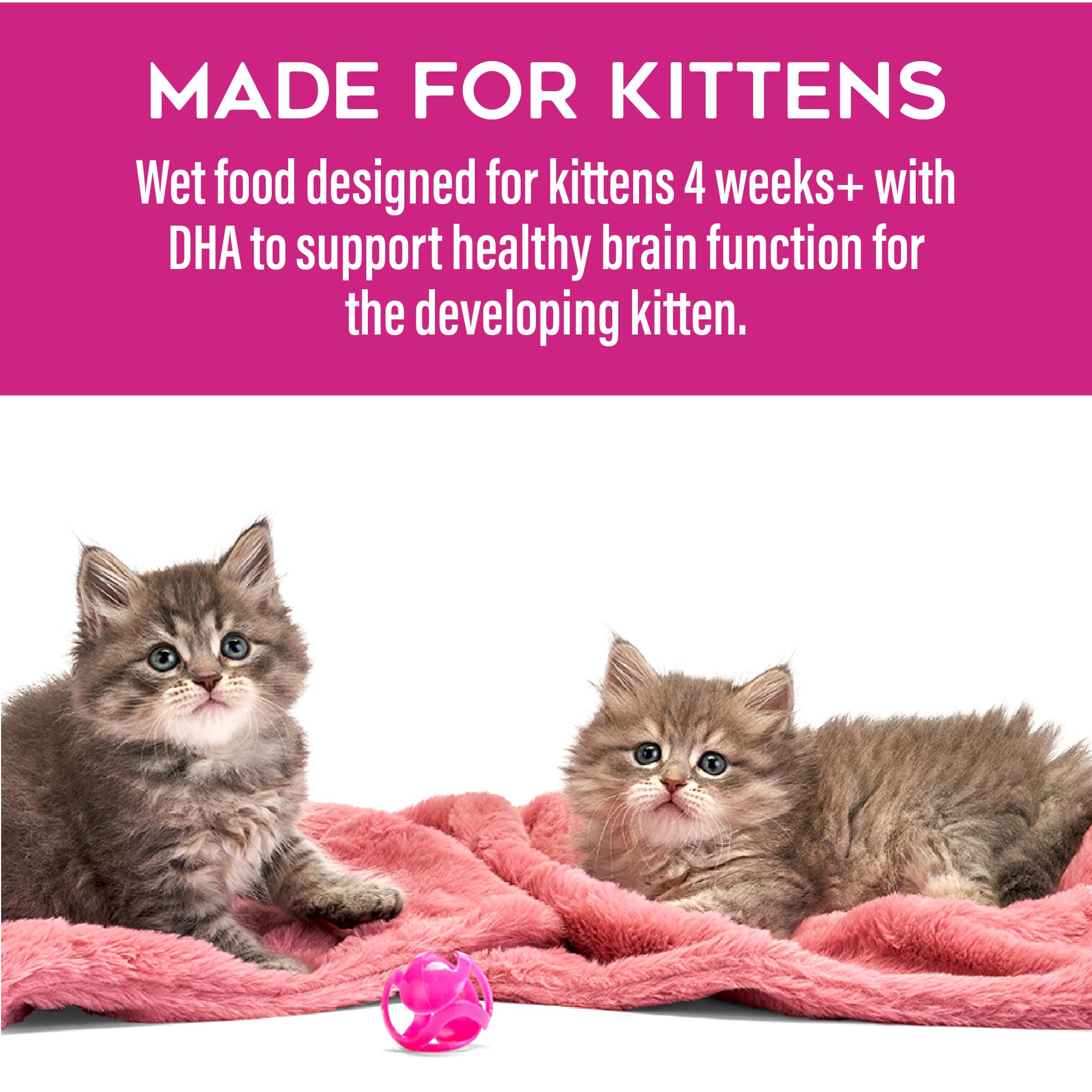 Tiki Cat Baby Pate Wet Cats Food for Kittens, Chicken, Salmon & Chicken Liver, 2.4 oz. Can (12 Count)