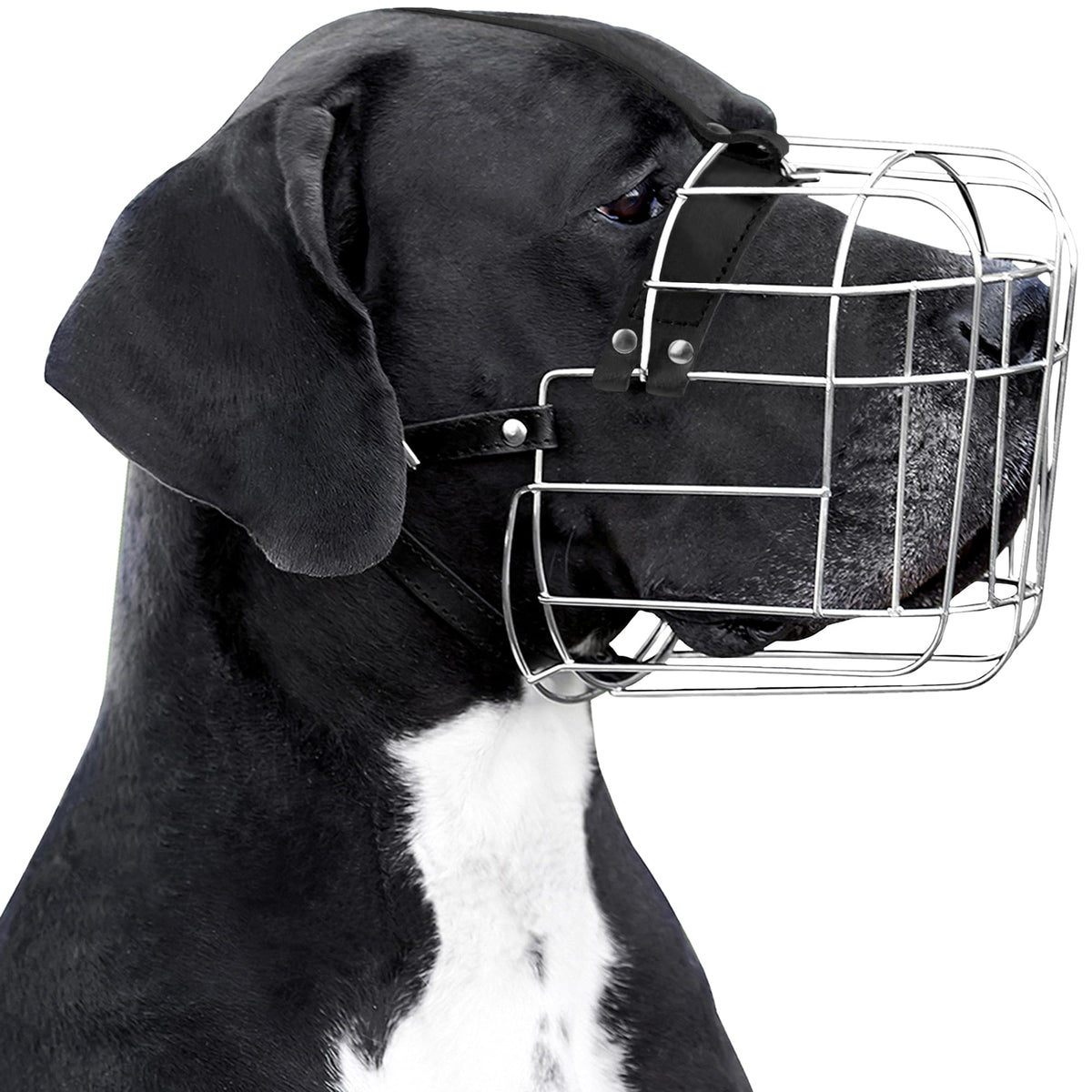 Bronzedog Dog Muzzle Adjustable Durable Metal Wire Basket For Large And Extra Large Dogs With Leather Straps Breathable, Drinkable, Training, Prevents Biting (Stainless Steel, Great Dane)