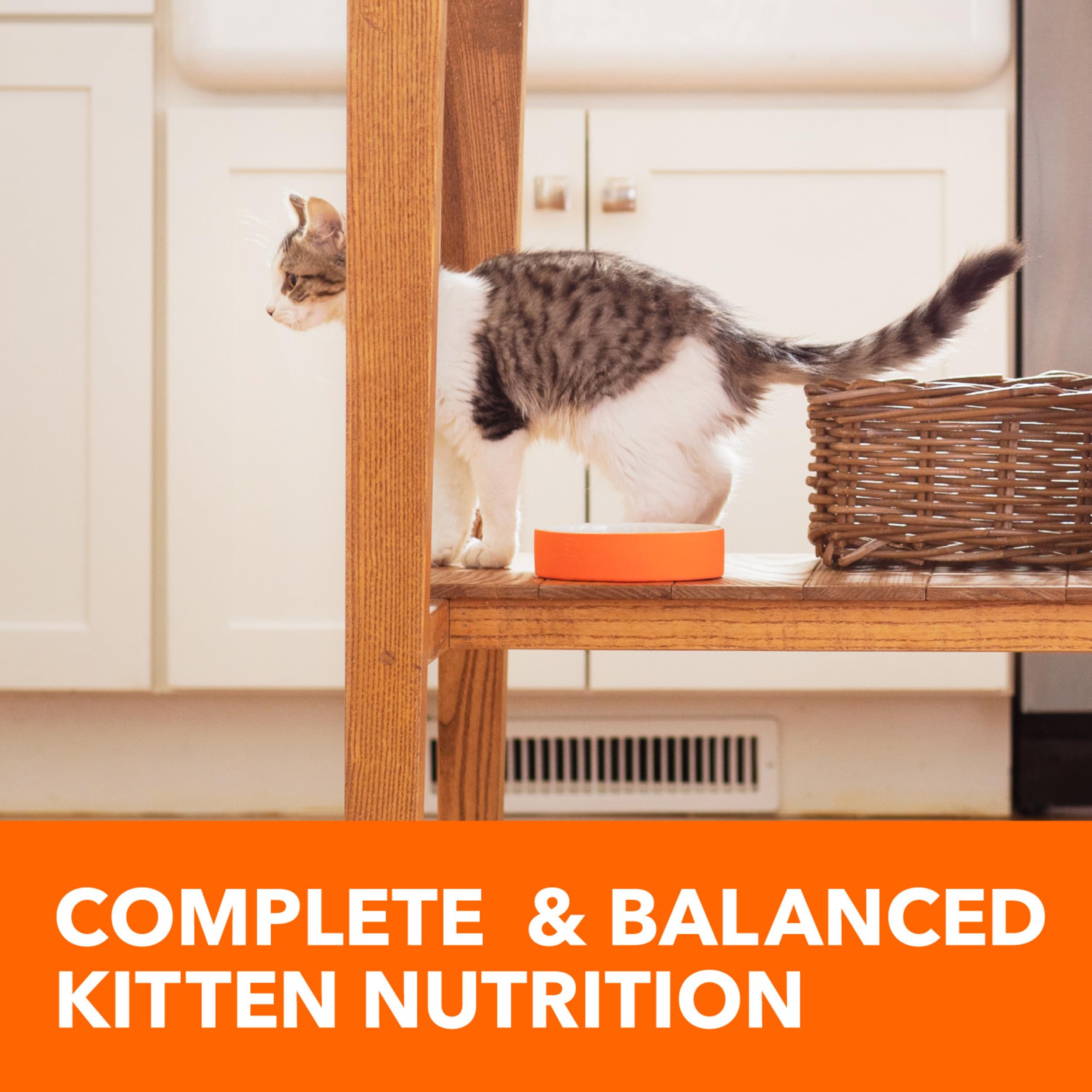 IAMS PROACTIVE HEALTH Healthy Kitten Dry Cat Food with Chicken Cat Kibble, 3.5 lb. Bag