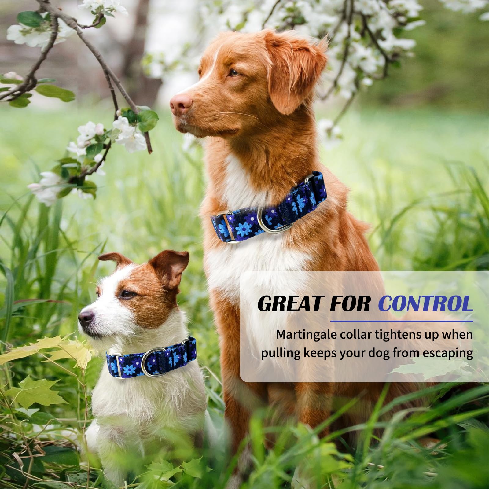 Hikiko Martingale Collar For Dogs With No Buckle Floral Dog Collars Soft Nylon No Slip Dog Collar For Extra Small Dogs,Navy Blue