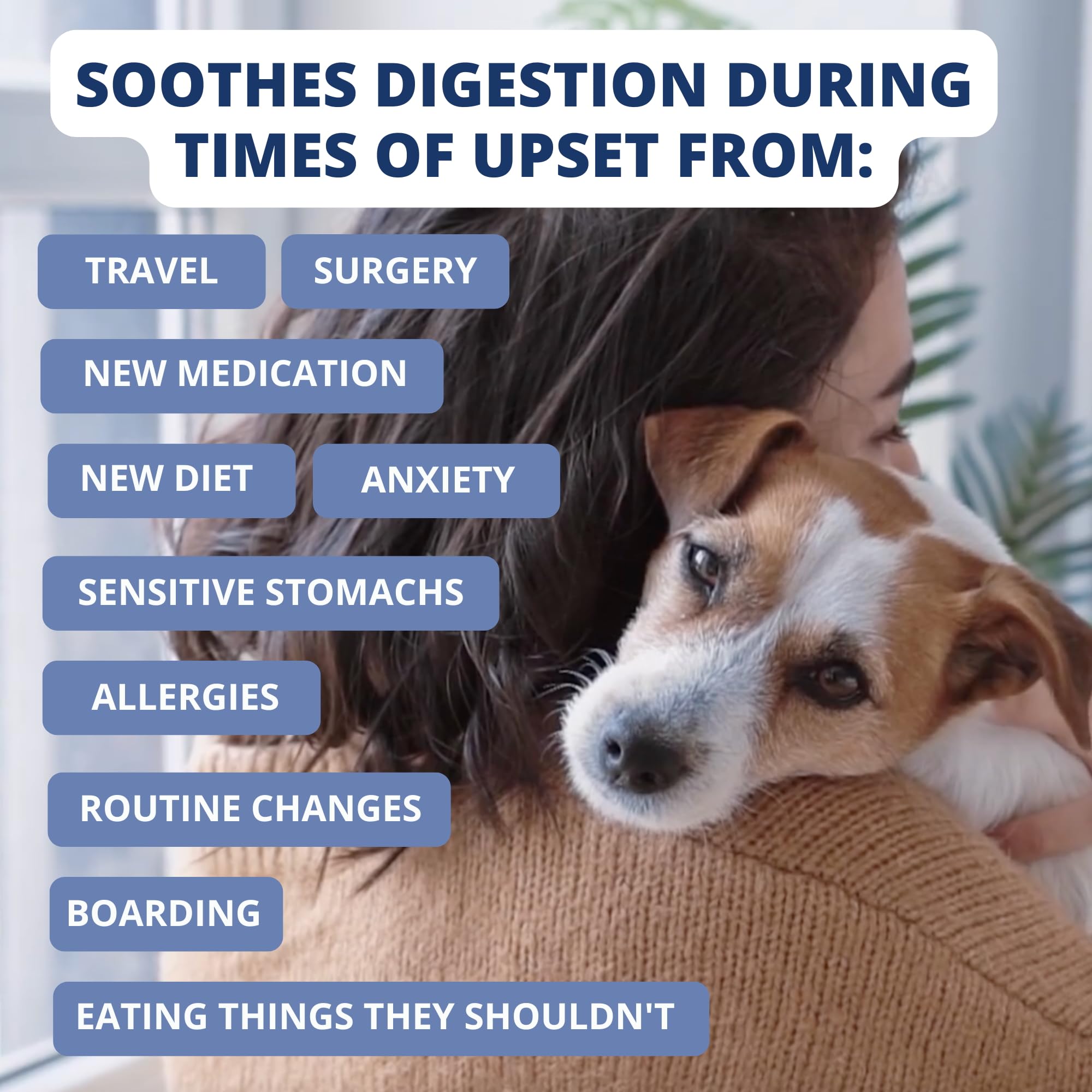 Under the Weather Bland Diet for Dogs | Easy to Digest for Sick Dogs |Always Be Ready| Contains Electrolytes - All Natural Freez