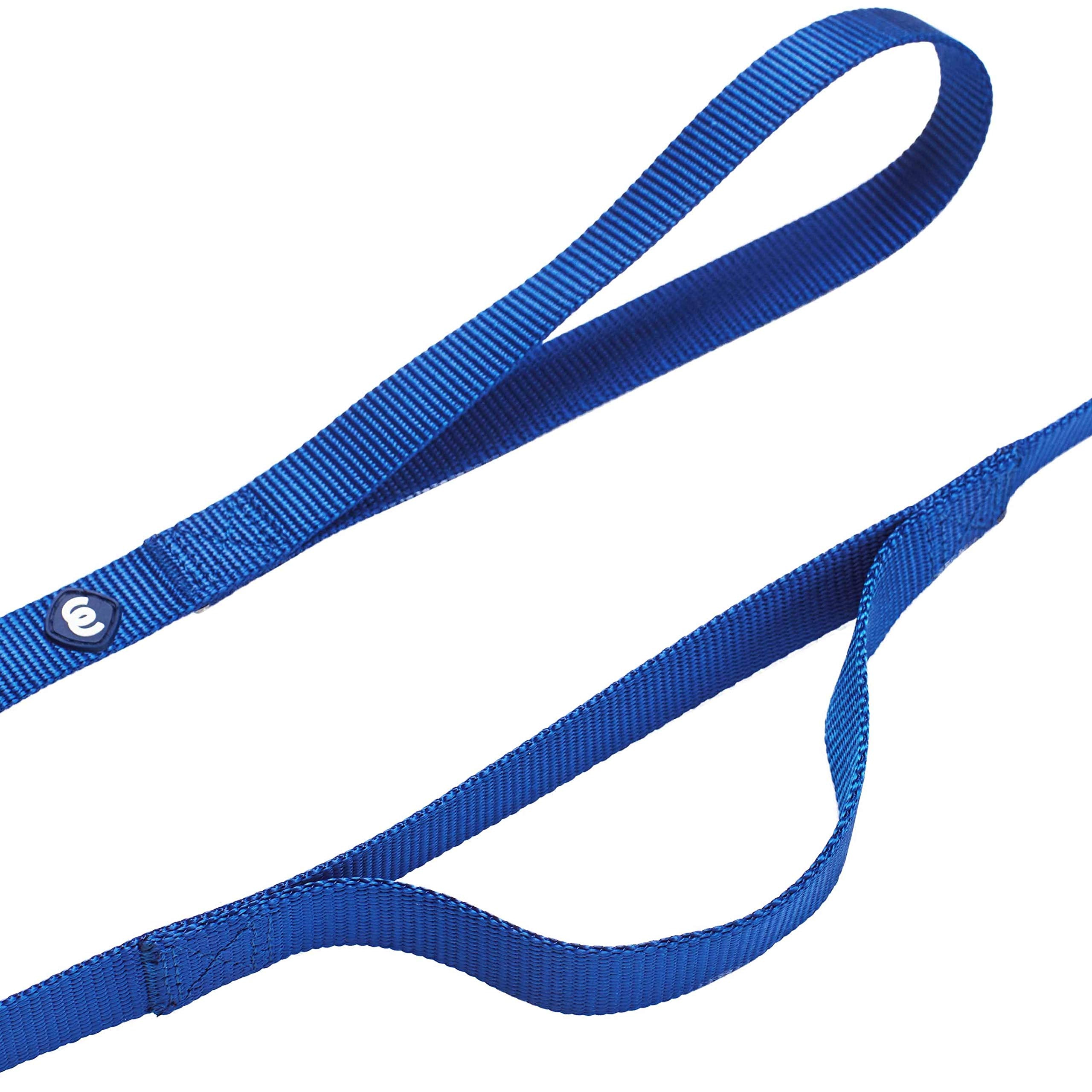 Blueberry Pet Essentials Durable Classic Dog Leash 5 Ft X 3/4', Royal Blue, Medium, Double Handle Leashes For Dogs