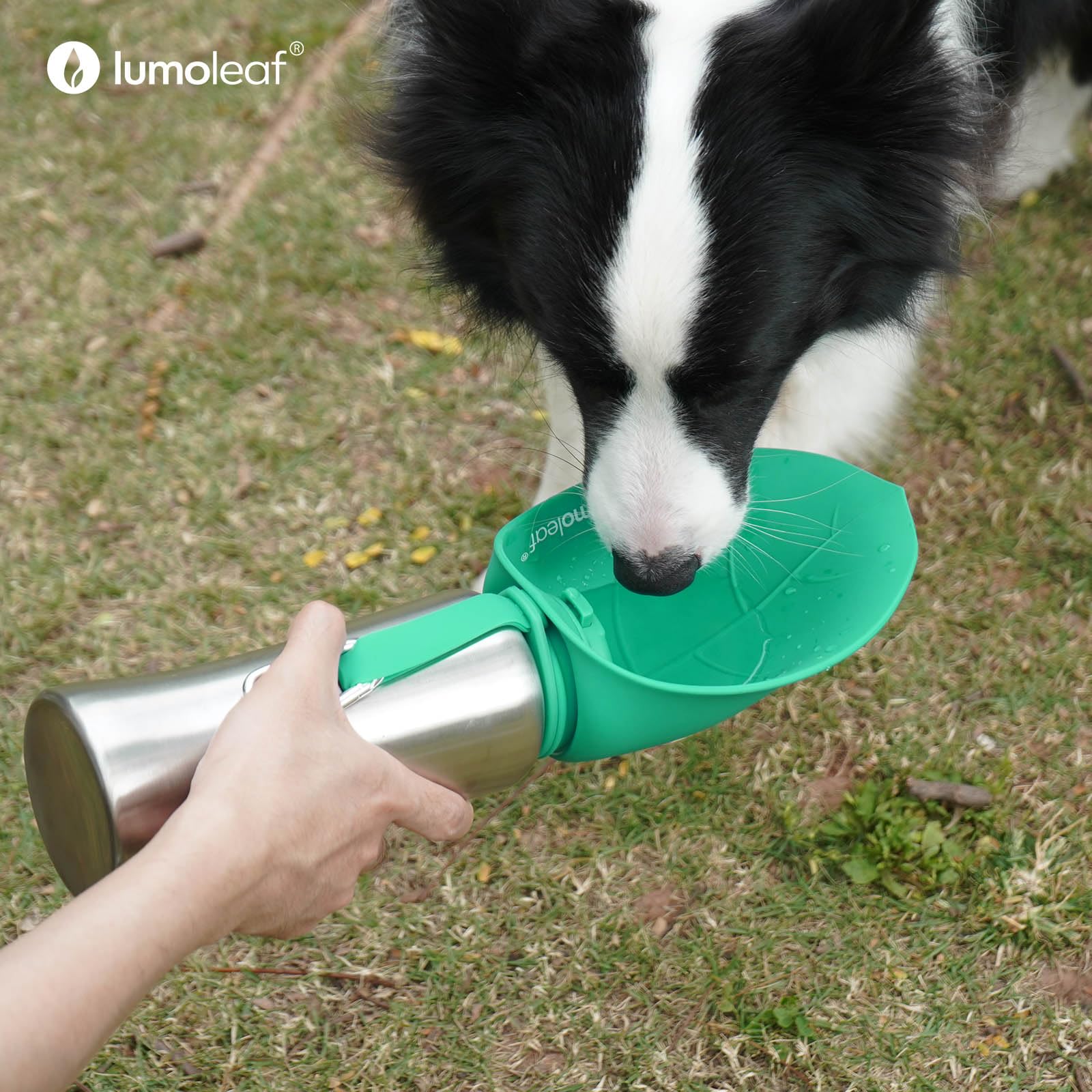 LumoLeaf Portable Dog Water Bottle 27oz - Stainless Steel Dispenser for Large Dogs, Green, Model LLDWB27B