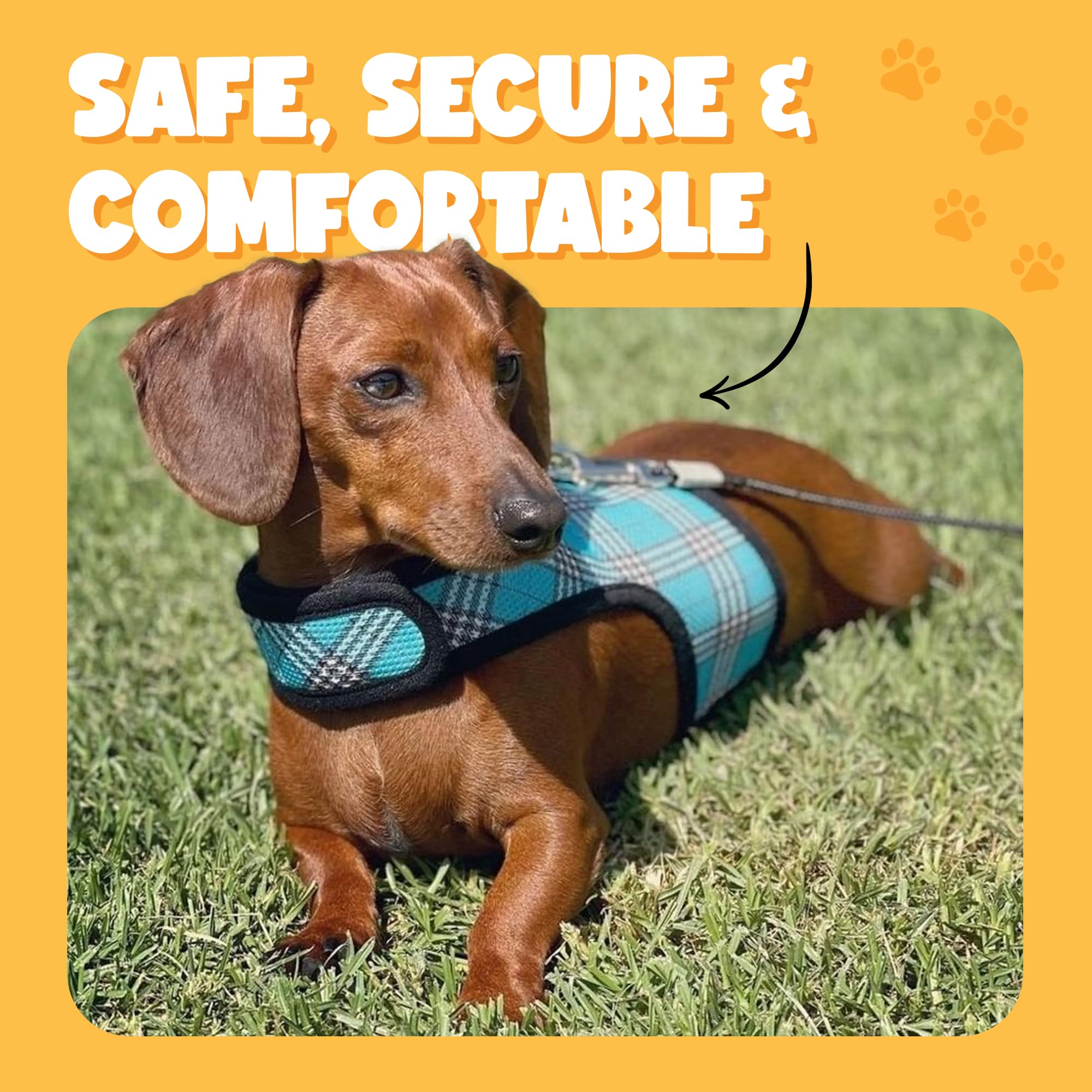 Bark Appeal Blue Wrap N Go Dog Harness For Small-Medium Pets – Soft Solid Mesh Vest Harness For Dogs, Puppies, Kittens & Cats – Easy Buckle-Free Design For A Comfortable Fit – Medium