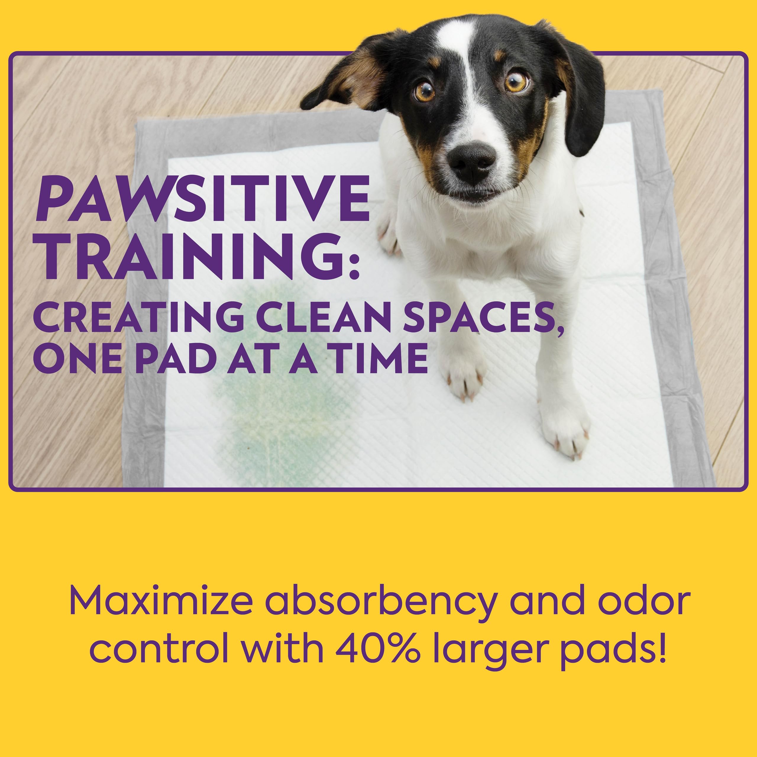 OUT! Petcare XL Dog Training Pads, Odor Control Dog Pads, Extra Large Pee Pads for Dogs, Puppy Pee Pads, Leak Proof, Disposable,
