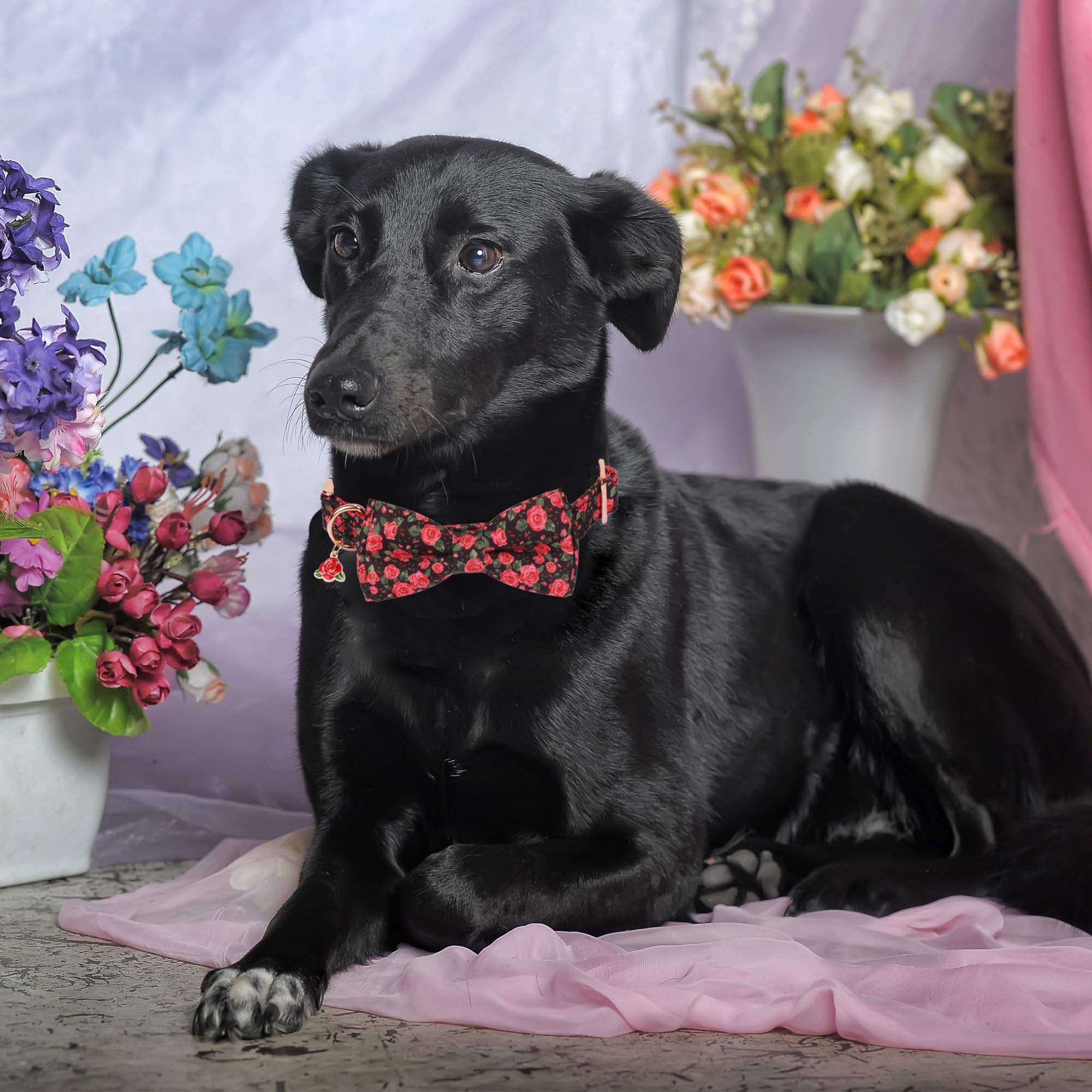 Adoggygo Floral Dog Collar With Bow, Red Rose Flower Dog Bowtie Collar With Metal Buckle, Adjustable Pet Floral Collars For Medi