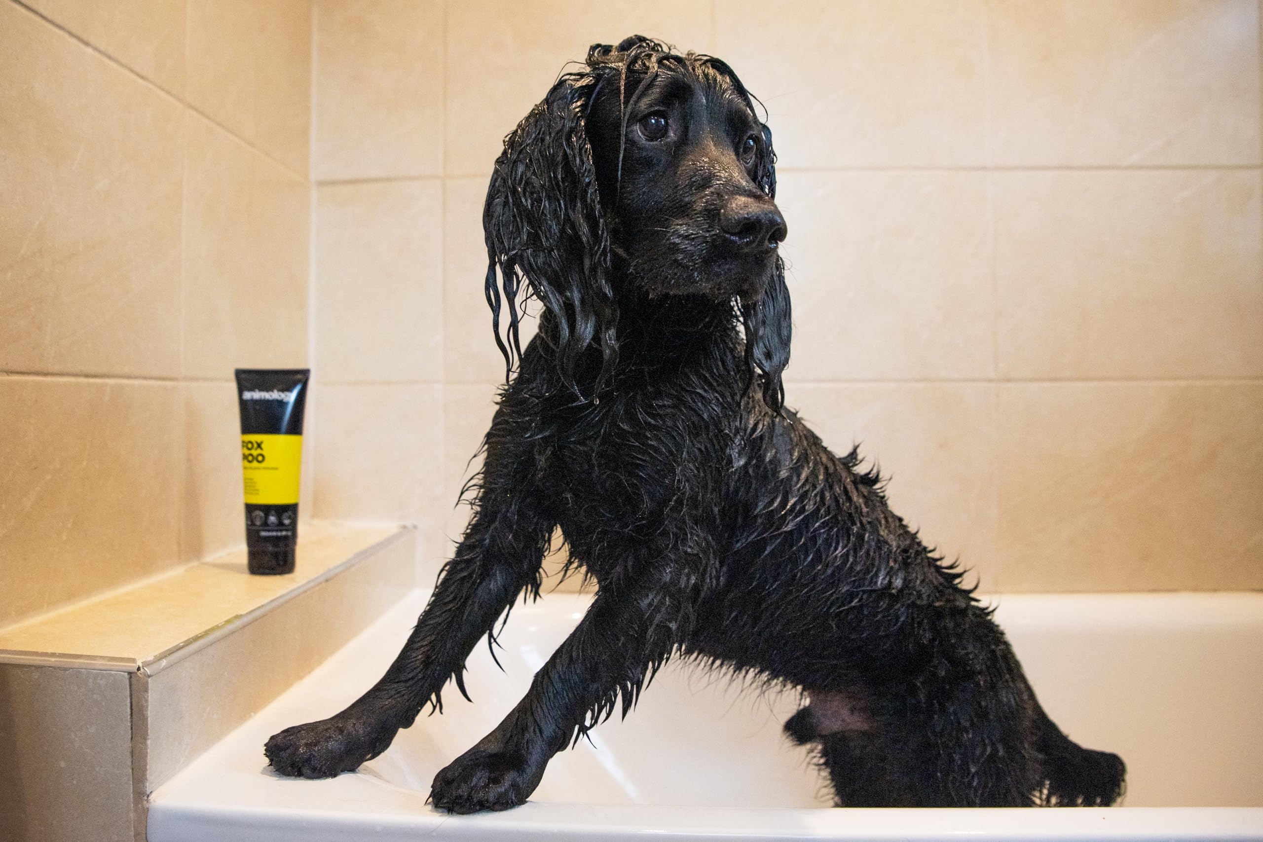 Animology Dog Fox Poo Shampoo 250Ml