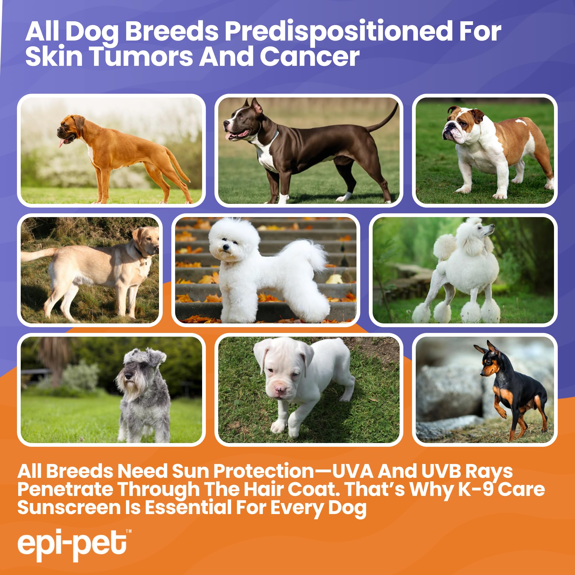 Epi-Pet K-9 Care Sunscreen, Paws To Tail Protection, Prevents Sunburns On Dogs And Horses, Sun Protector Spray, Spf 30+, Non-Gre