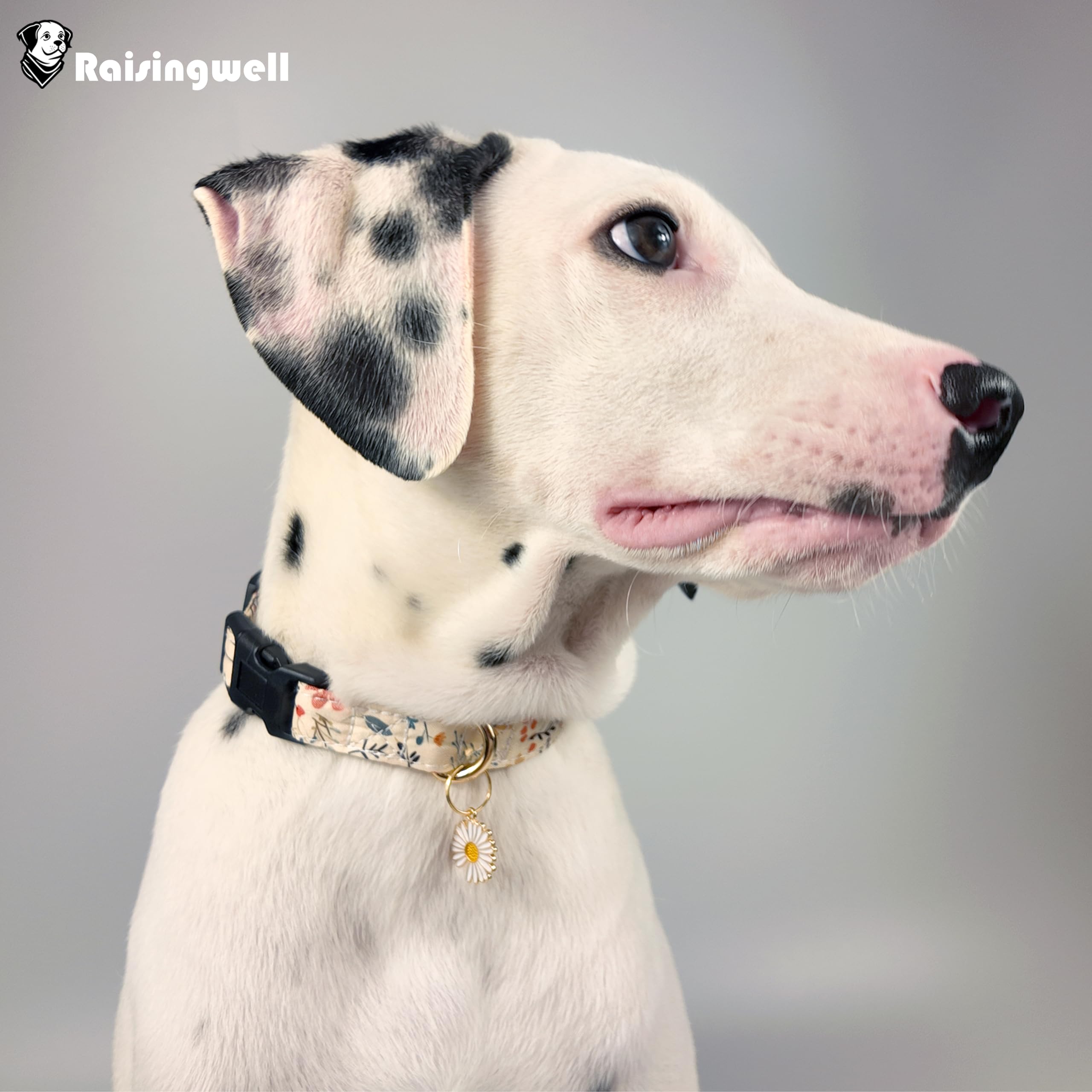 Raisingwell Cute Dog Collar Beige Flower Pattern For Boys And Girls Holiday Dog Collars Summer Fall Gift Adjustable For Small To