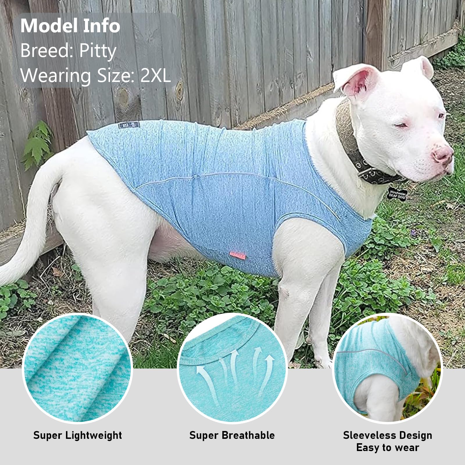 KYEESE 2Pack Dog Shirt for Small Dogs with Reflective Stripe Athletic Tank Top Breathable Sleeveless Dog Vest,Lake Blue+Rose Red